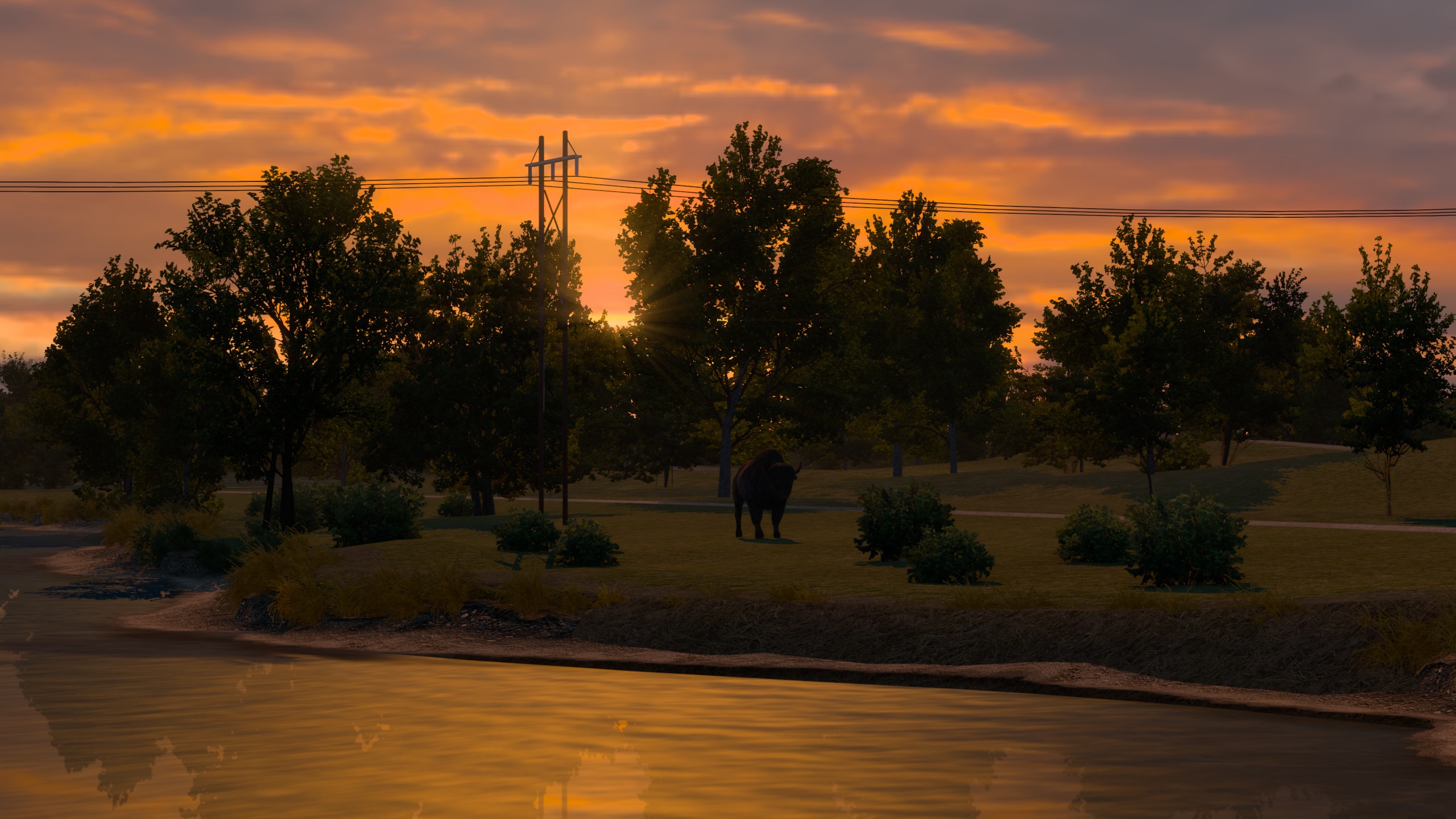 Image by pepperspray0815