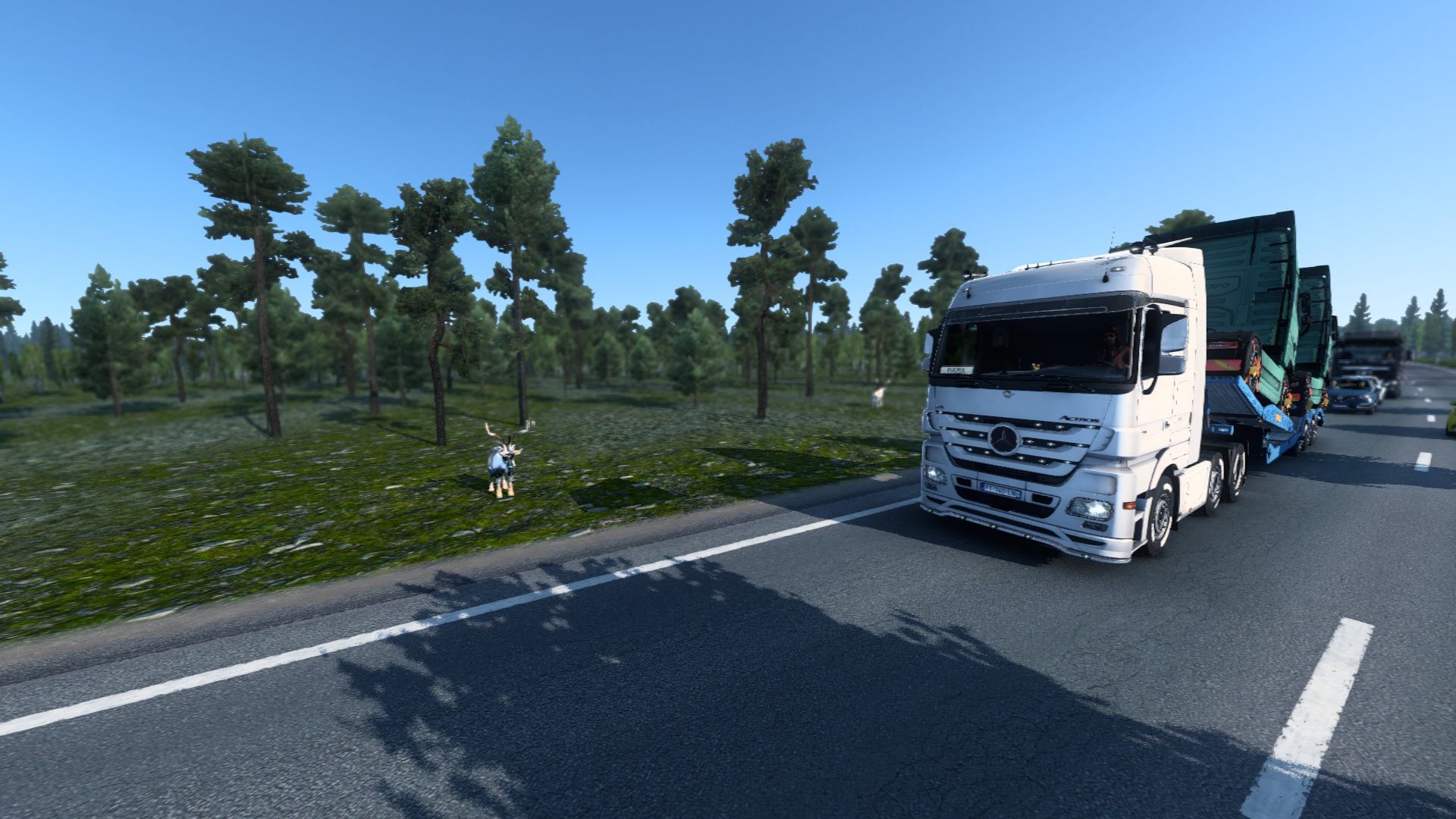 Image by HytZis