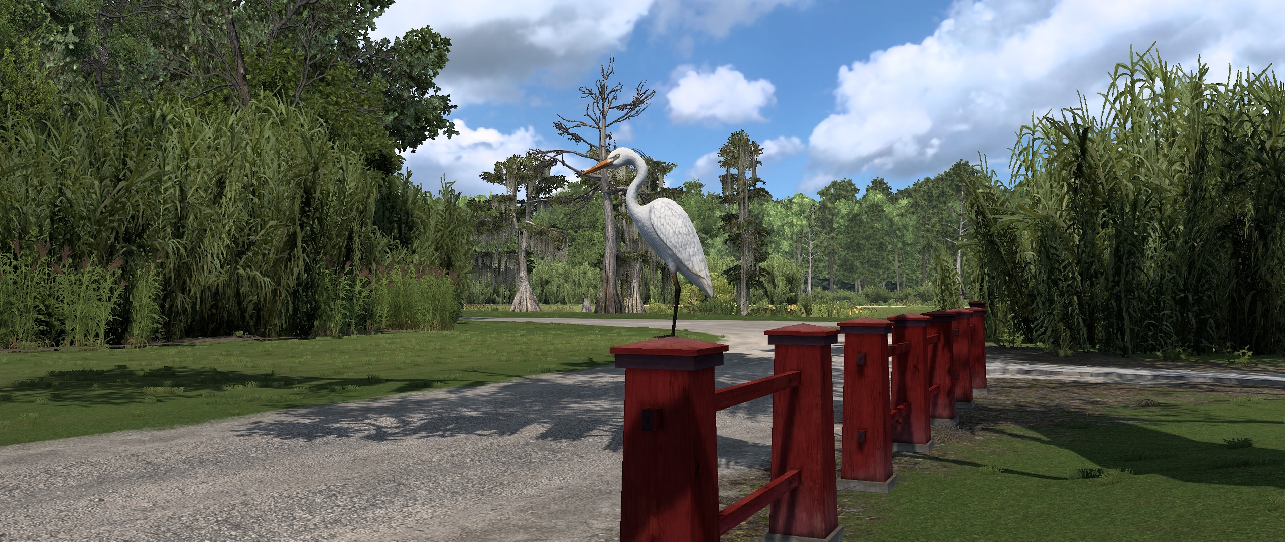 Image by freebiker56