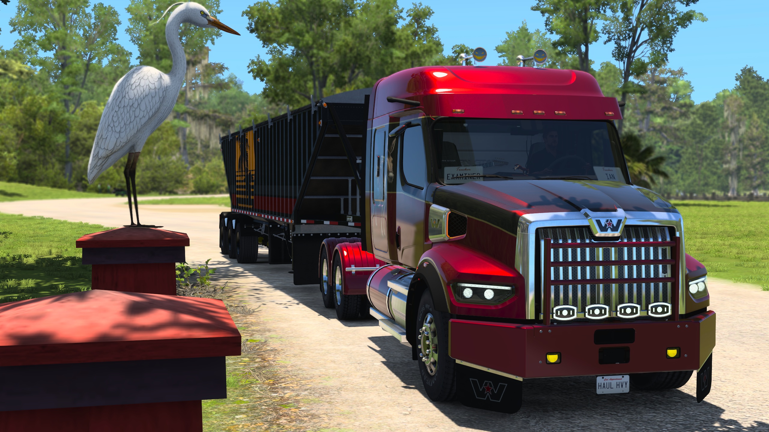 Image by ExaminerIan