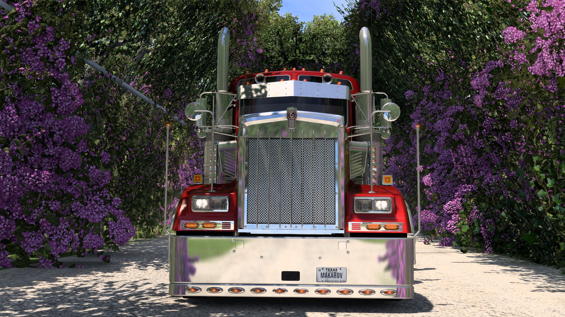 Image by makarov22rus