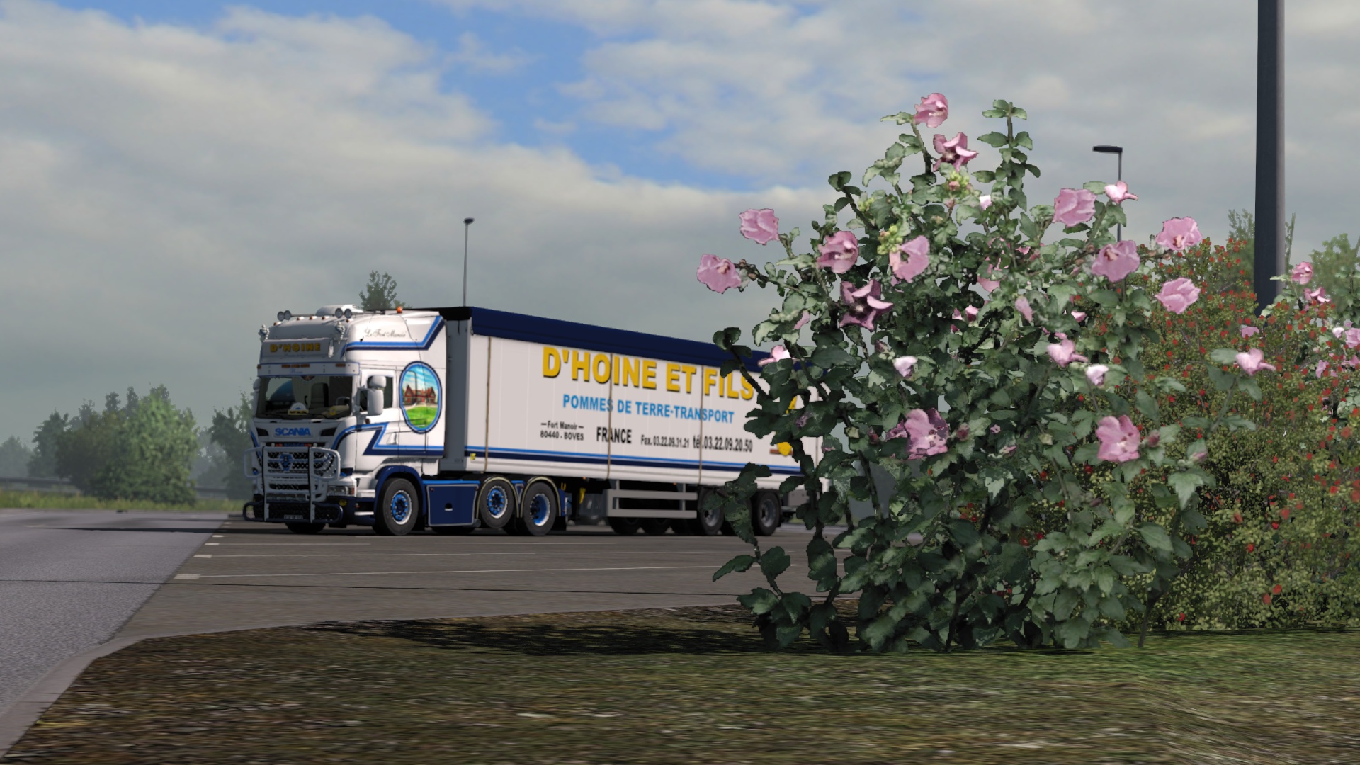 Image by puffitheone