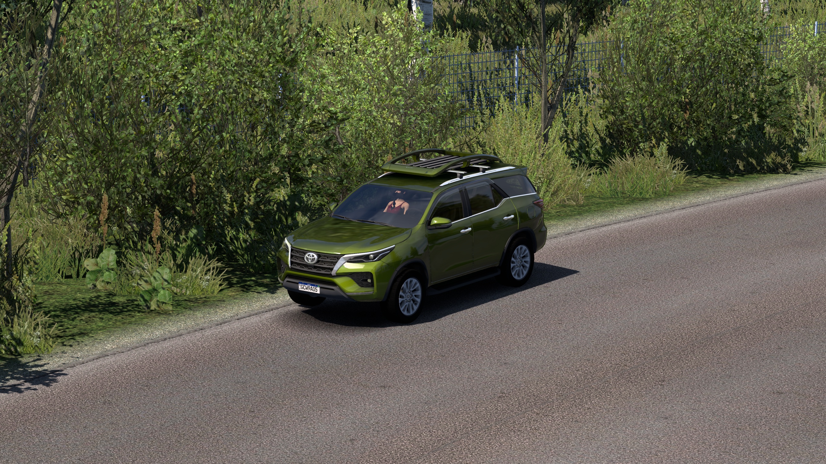 Image by magnusboun2