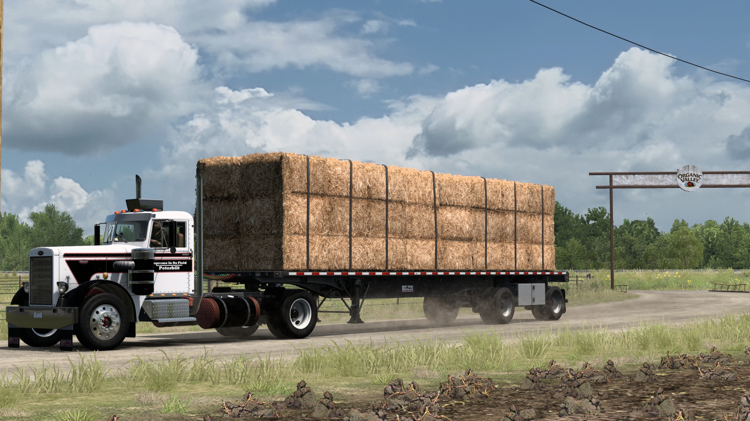 Image by British_Trucker