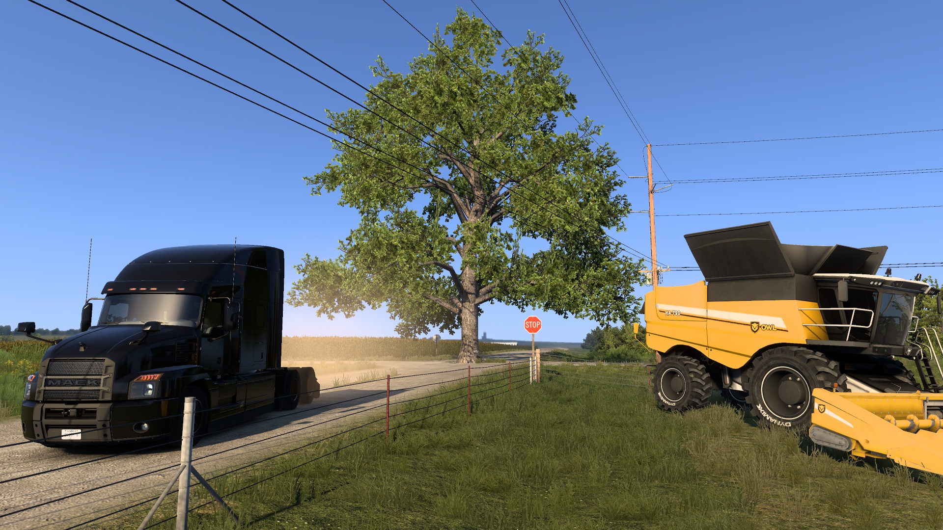 Image by Kyslynskyi_V