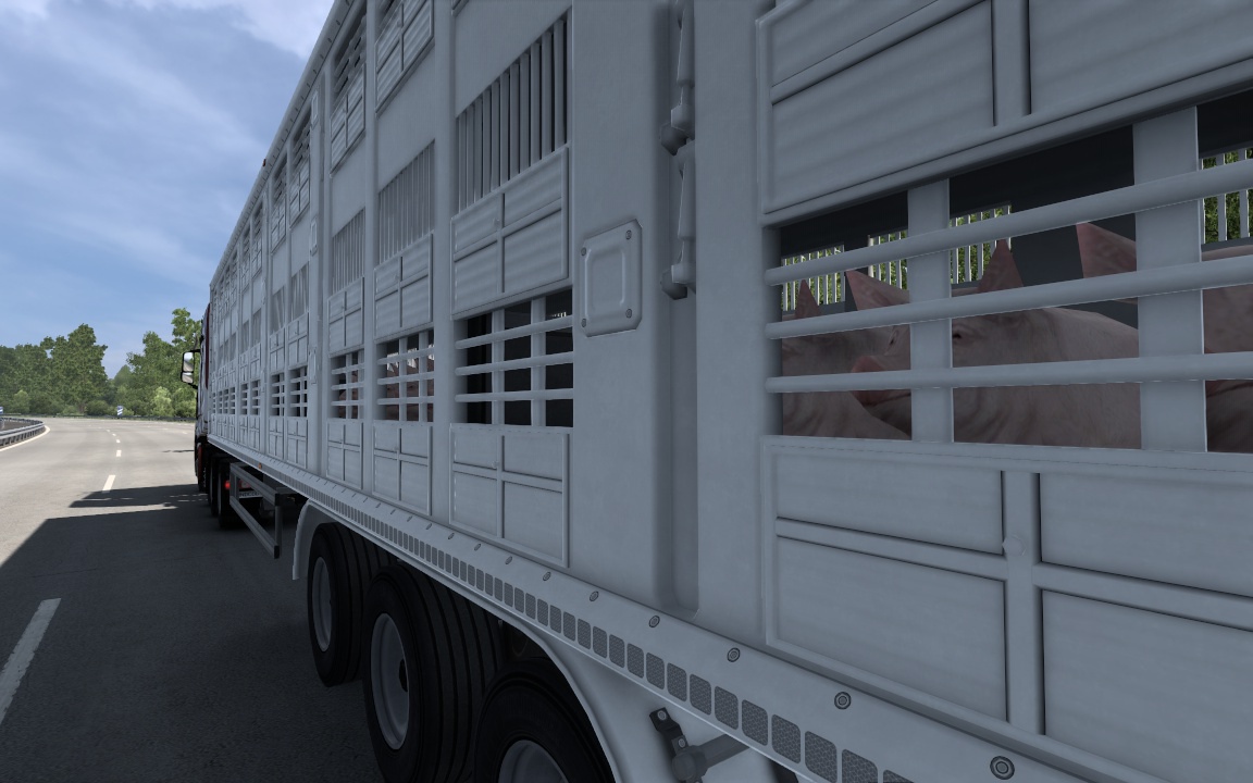 Image by renzcoldsun