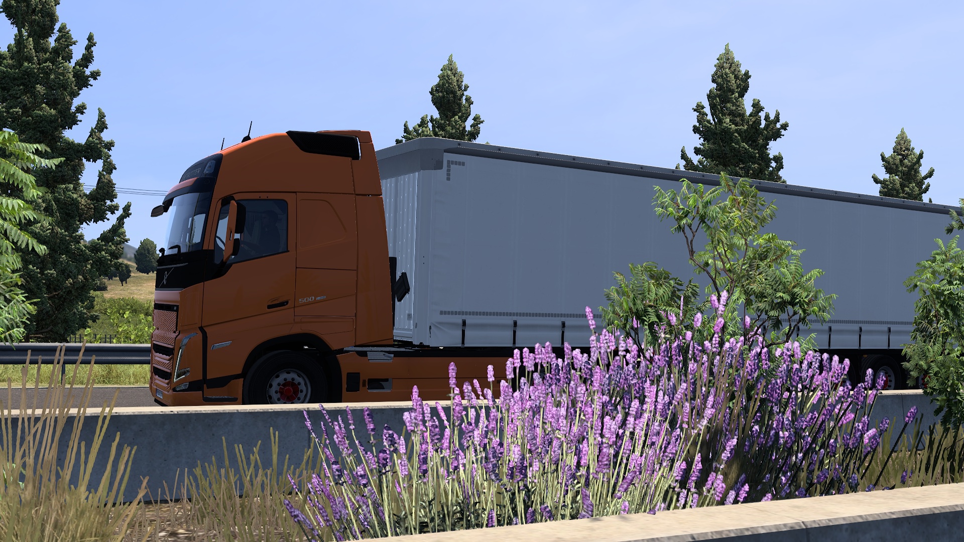 Image by YUSUF_LTFB55