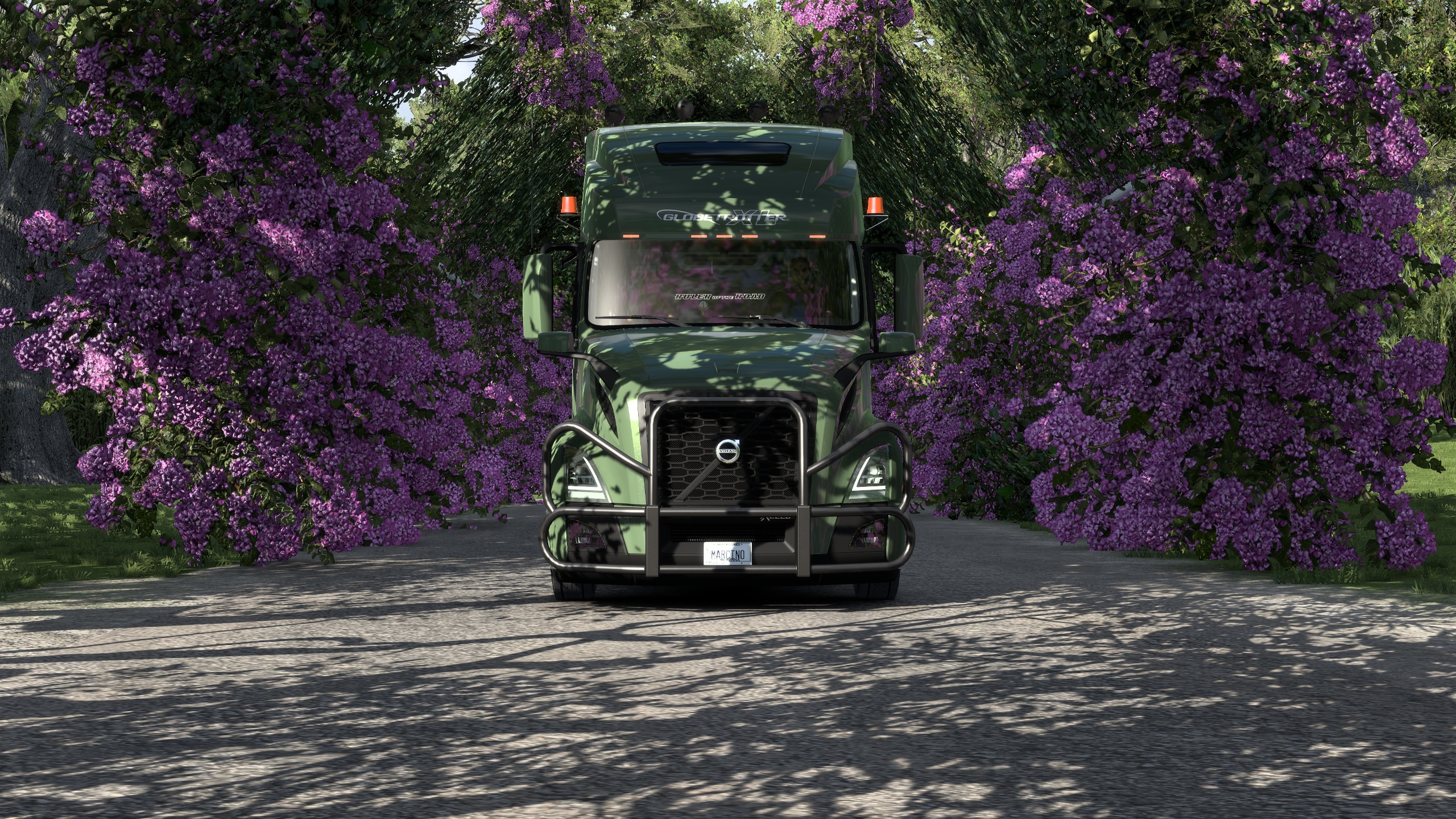 Image by Marcinek432119