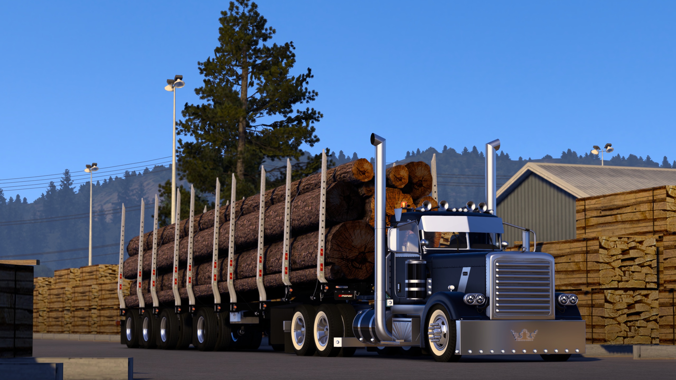 Image by Bearded_Bushman