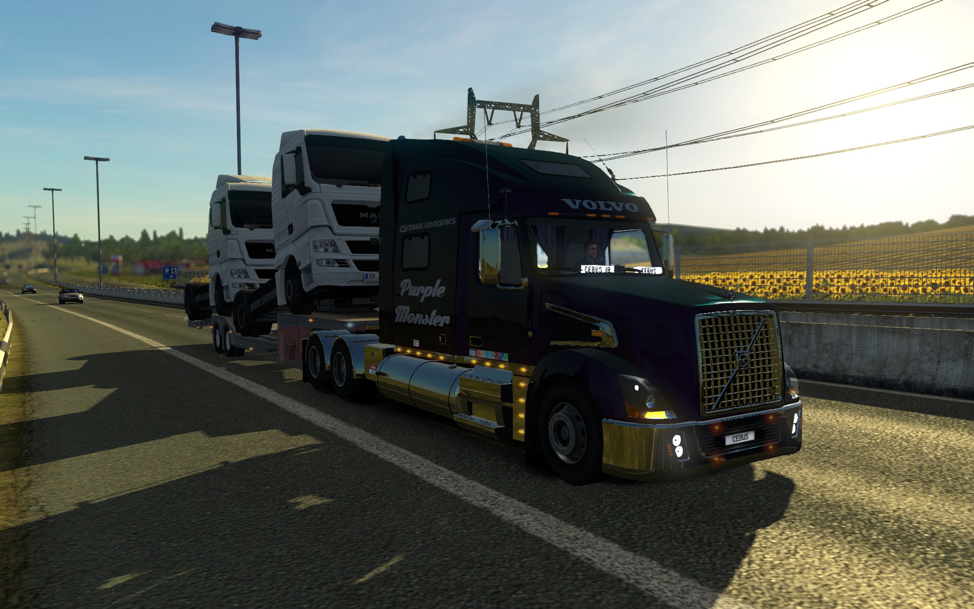 Image by imperial_cebus