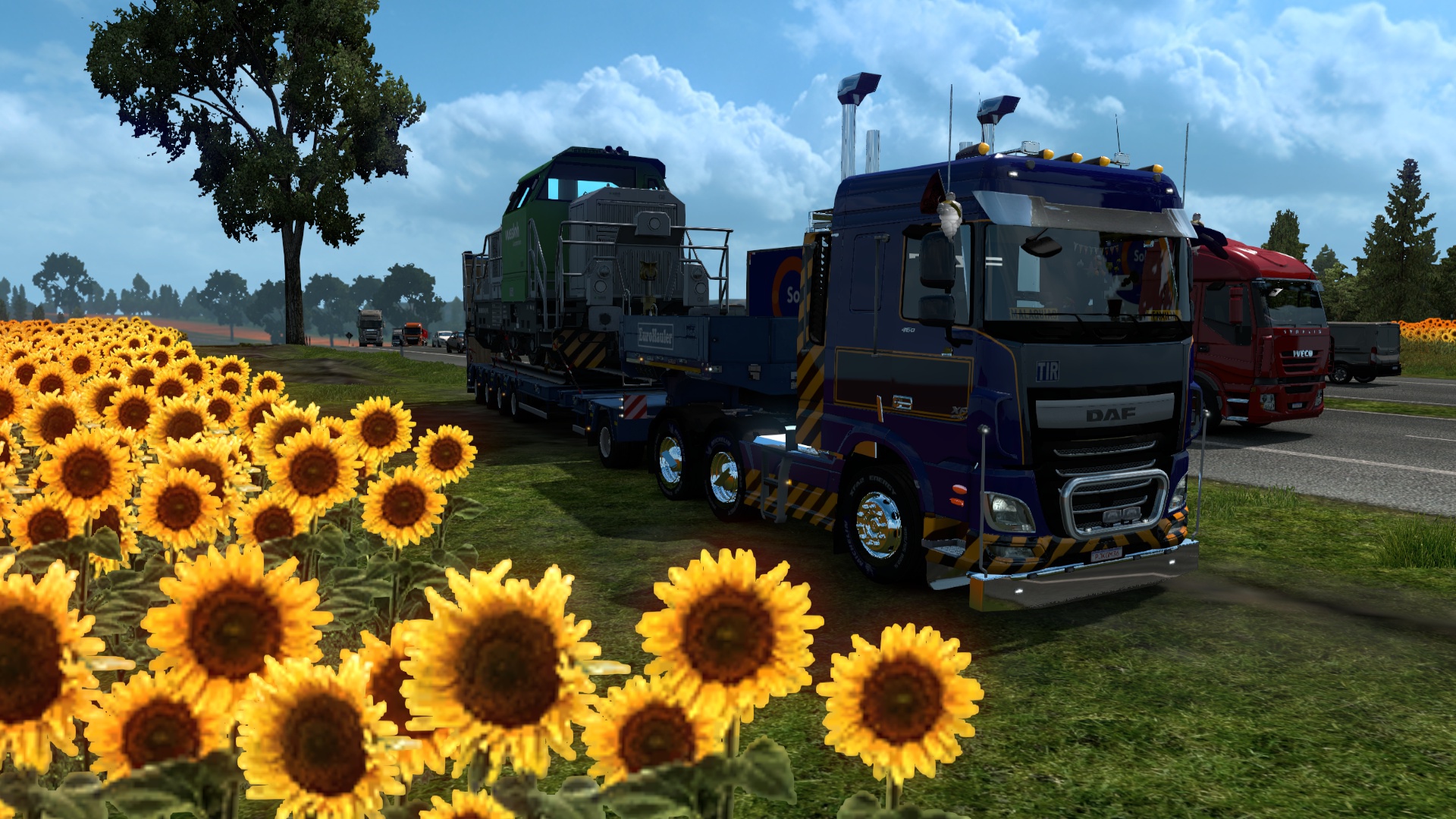 Image by Malaquias13