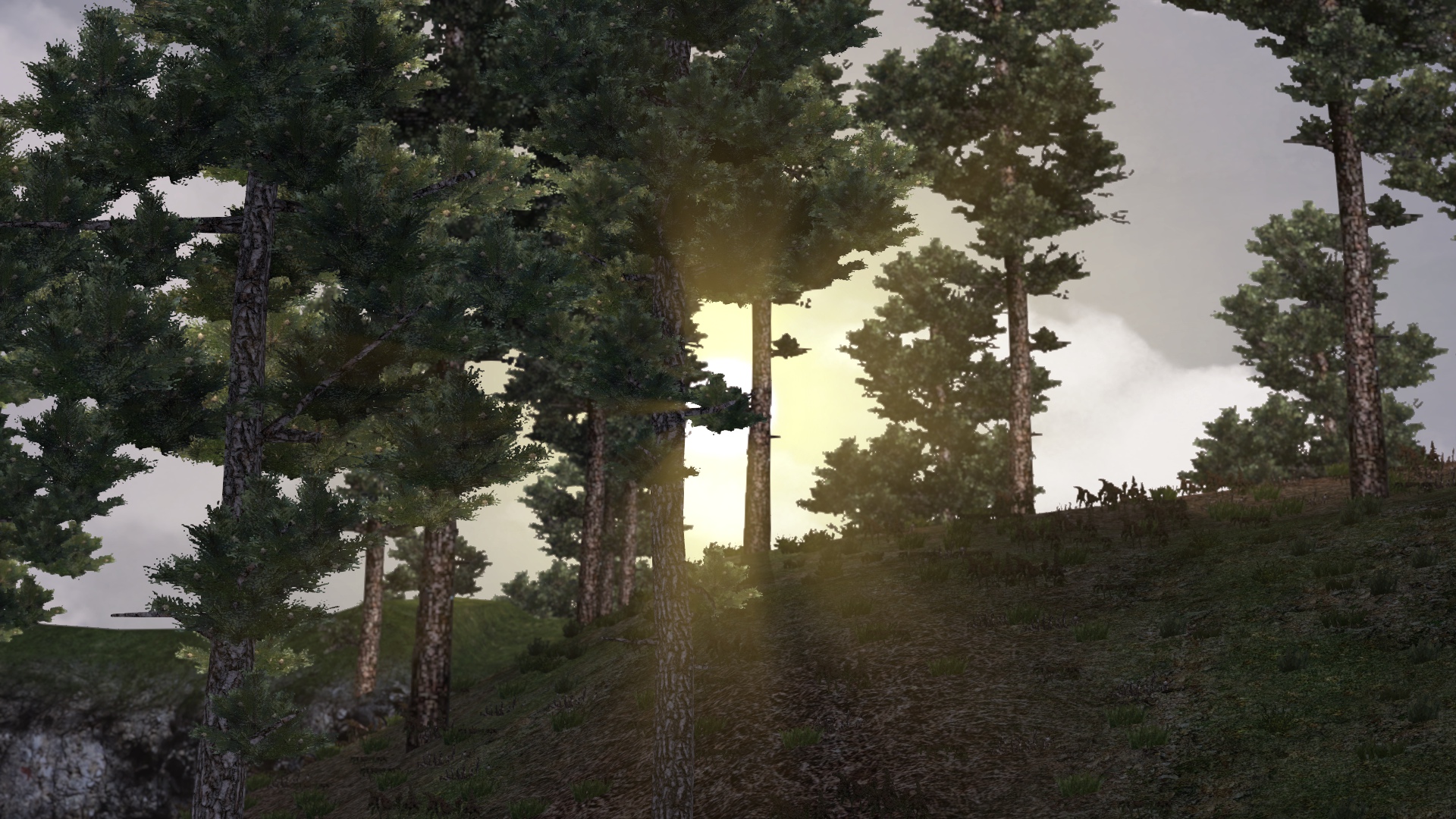 Image by DimaDoK