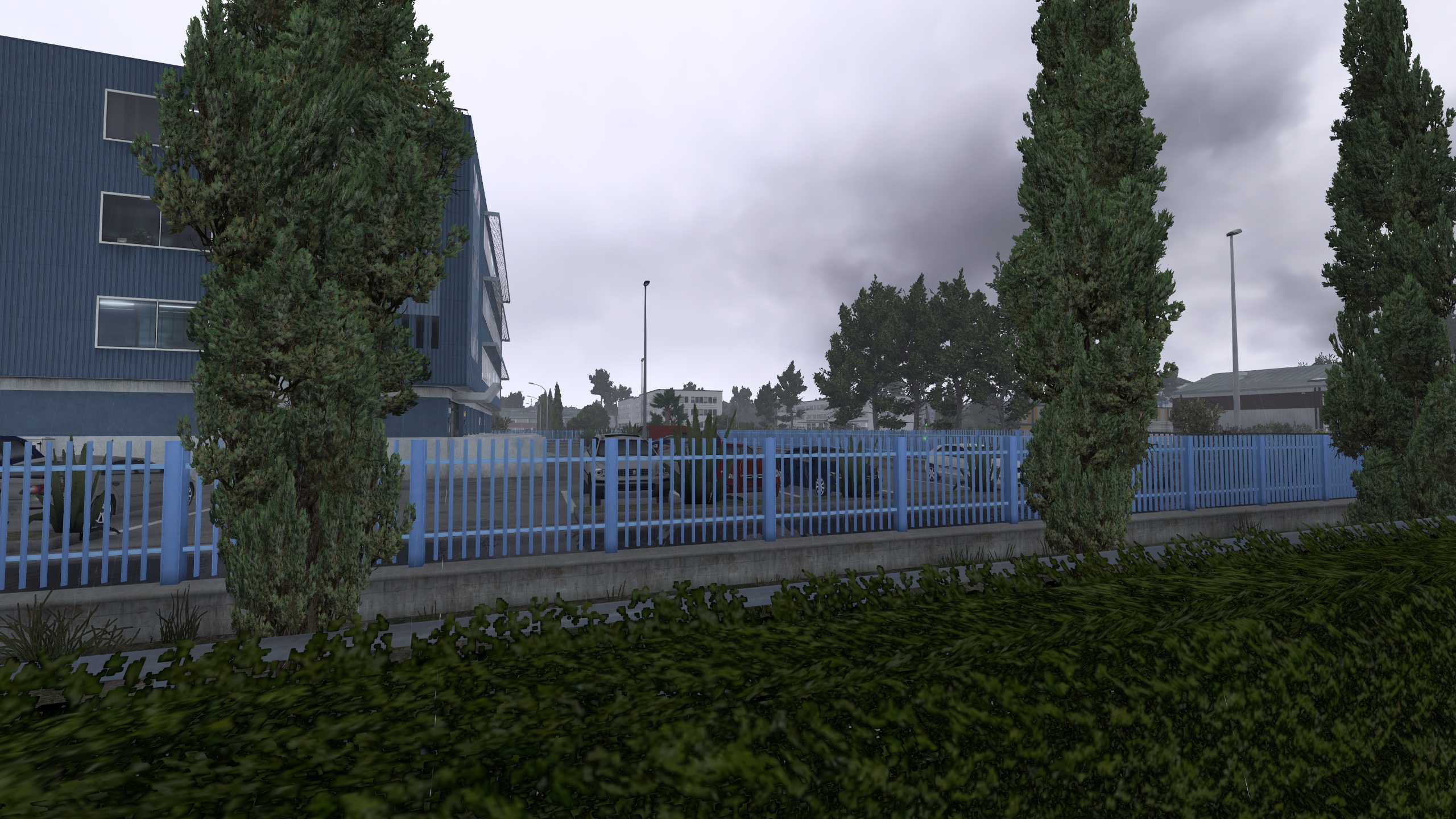 Image by rainer56
