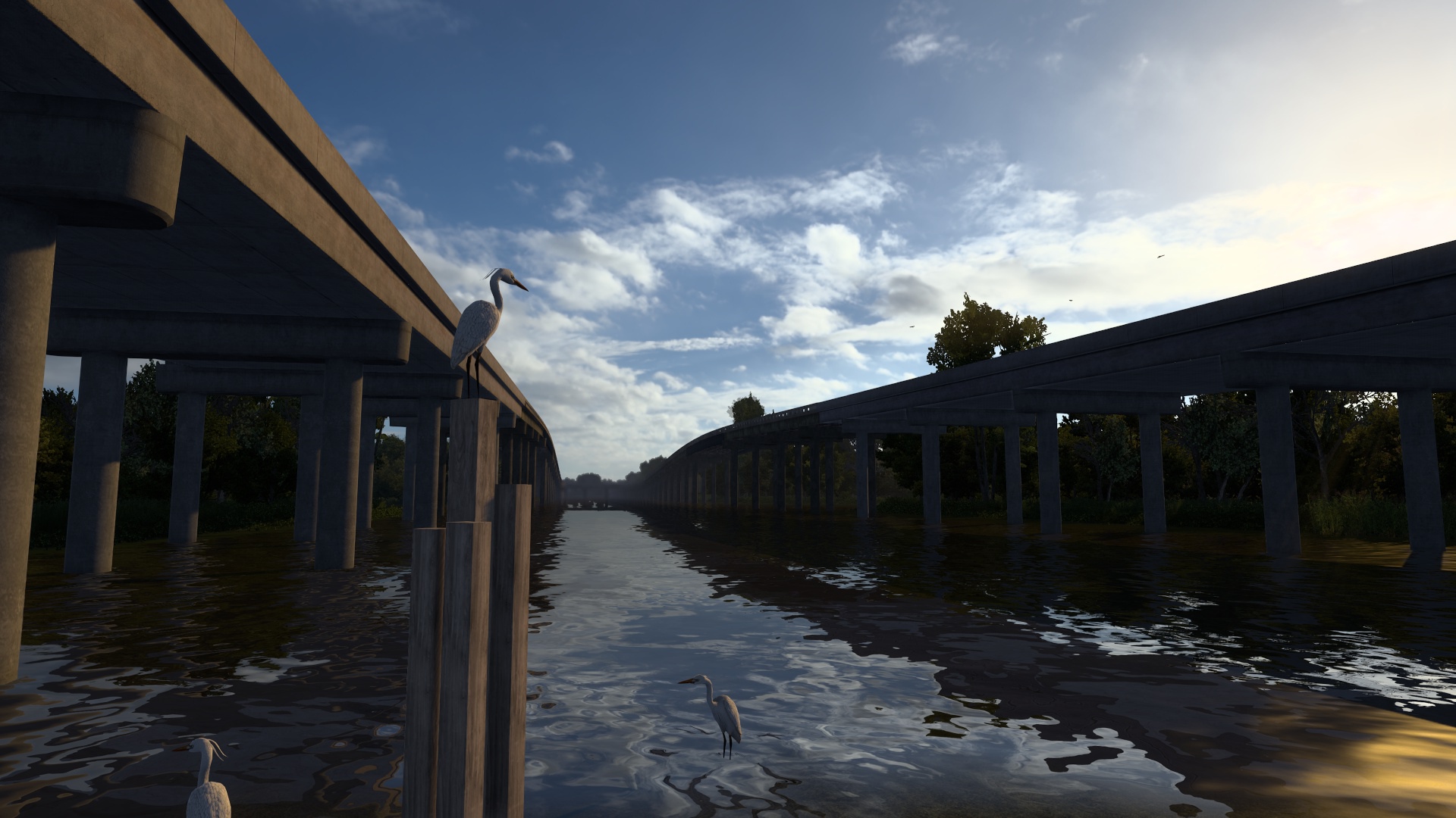 Image by Charlotte_Root