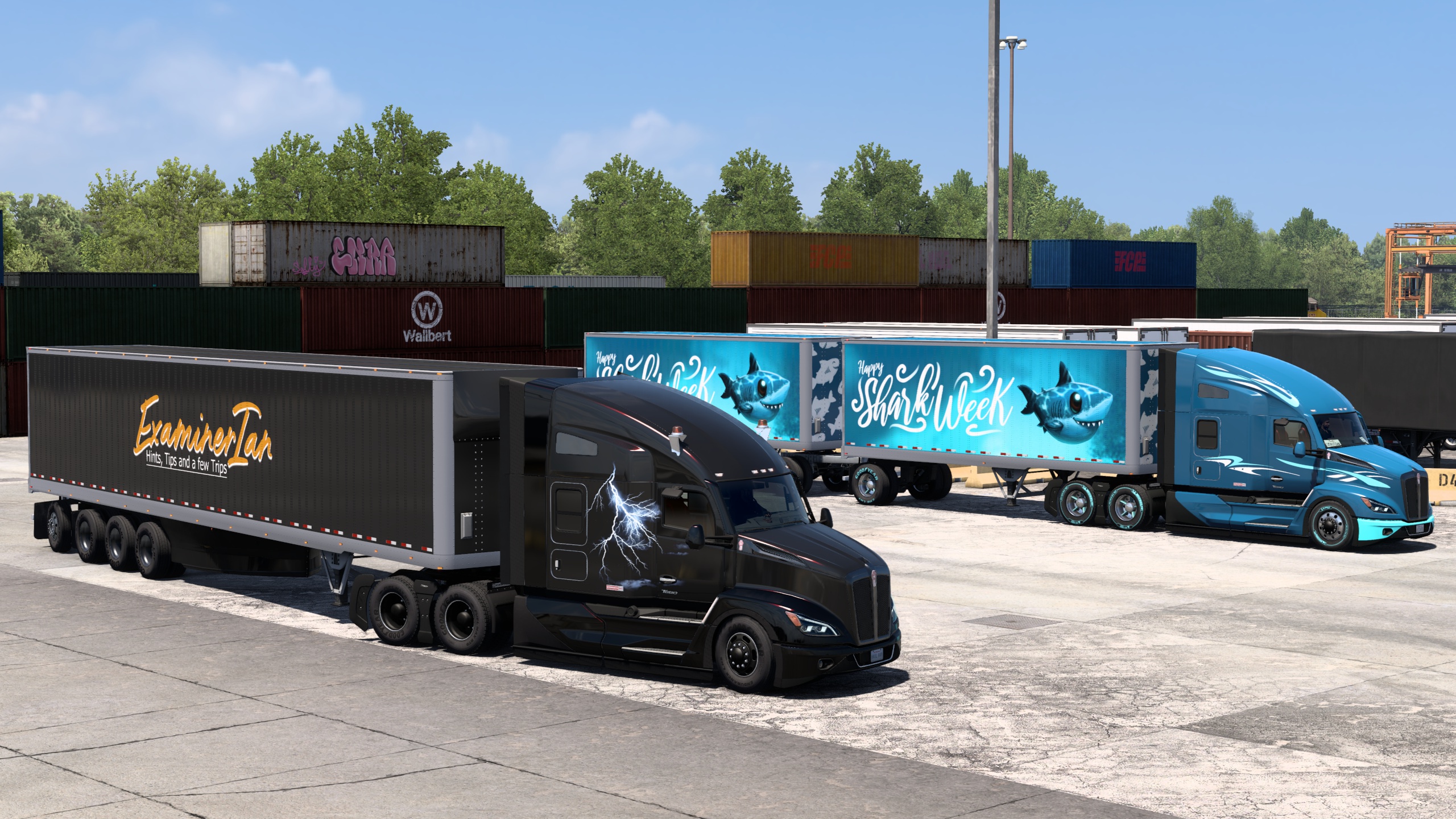 Image by ExaminerIan