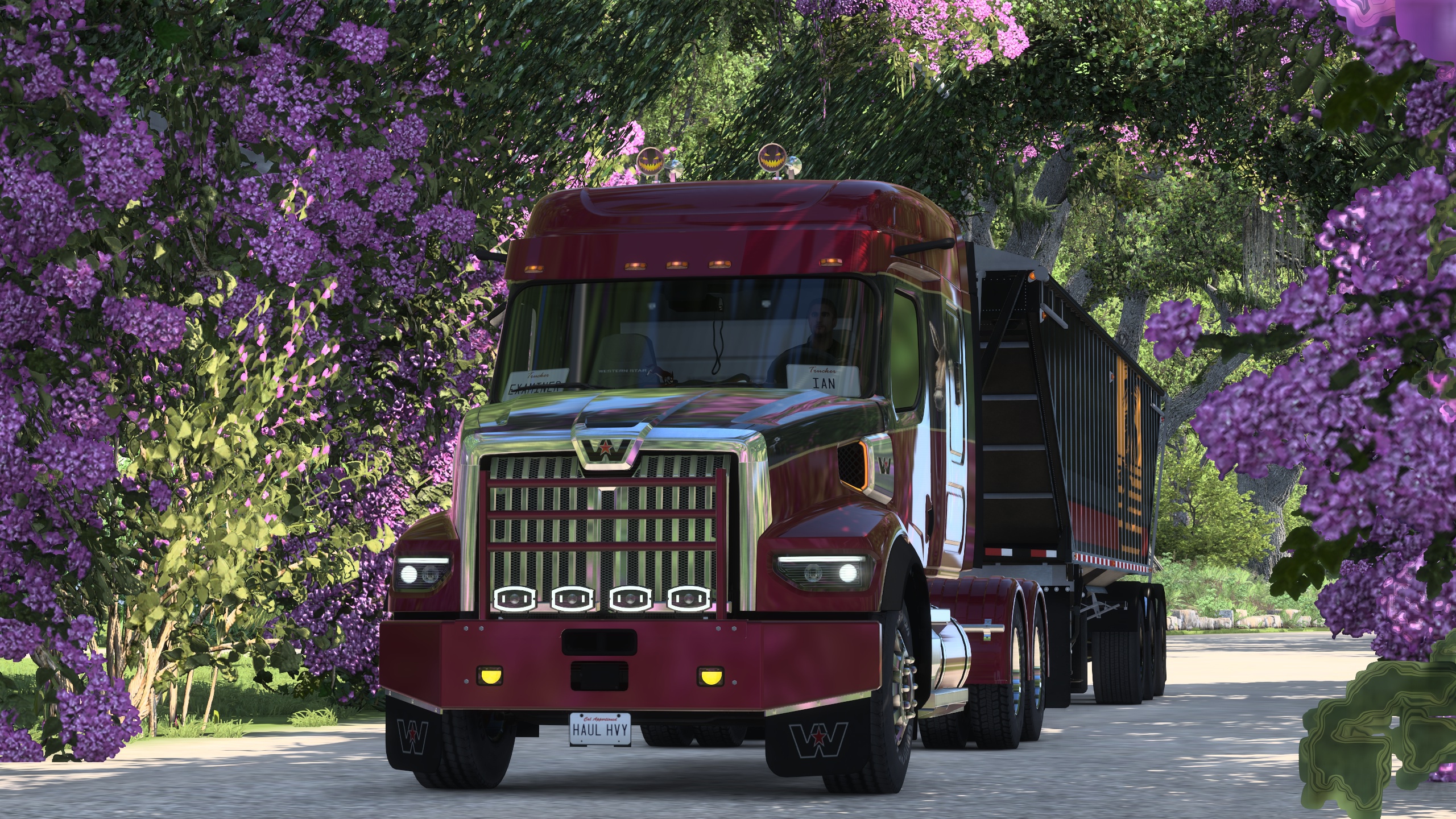 Image by ExaminerIan