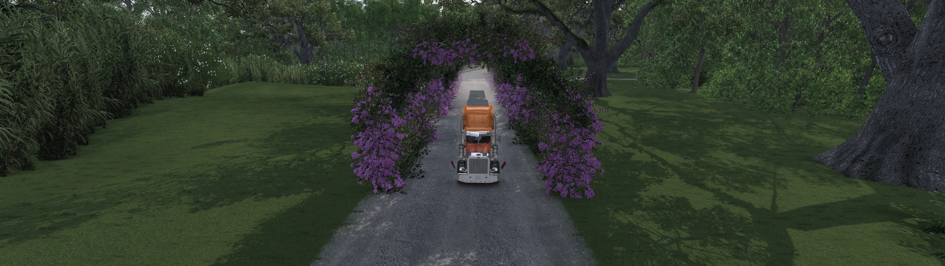 Image by EAPiauhy