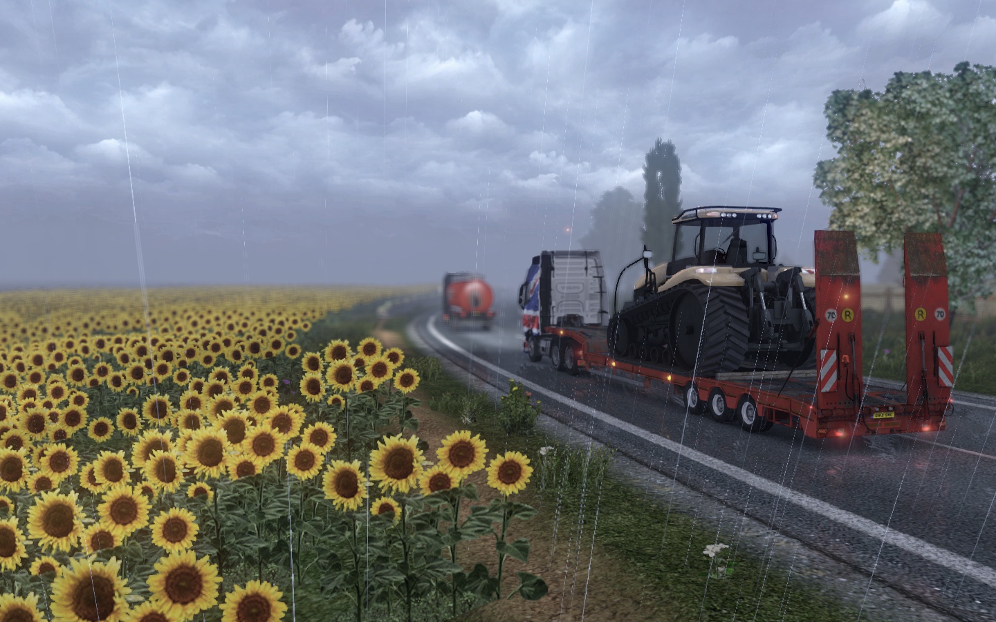 Image by Carpenter45