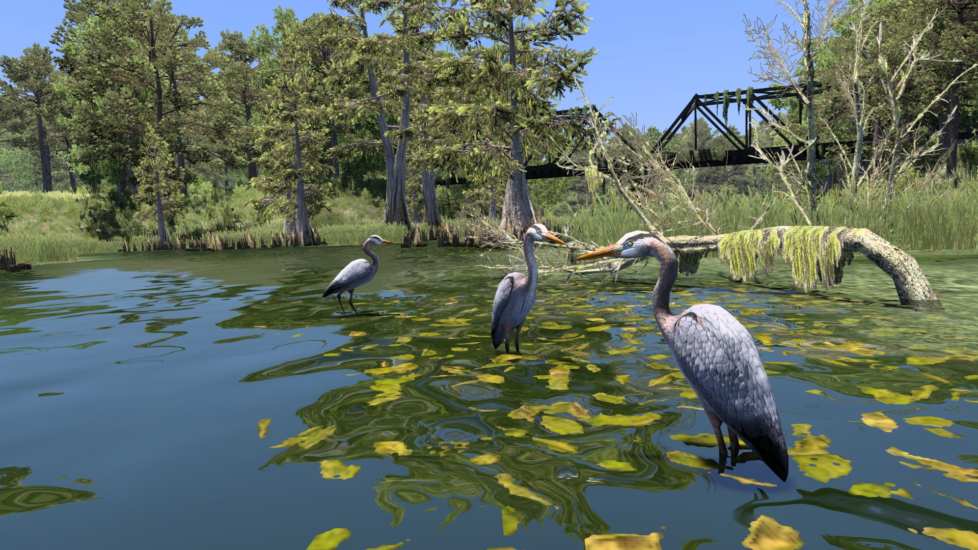 Image by rinatkhamatov