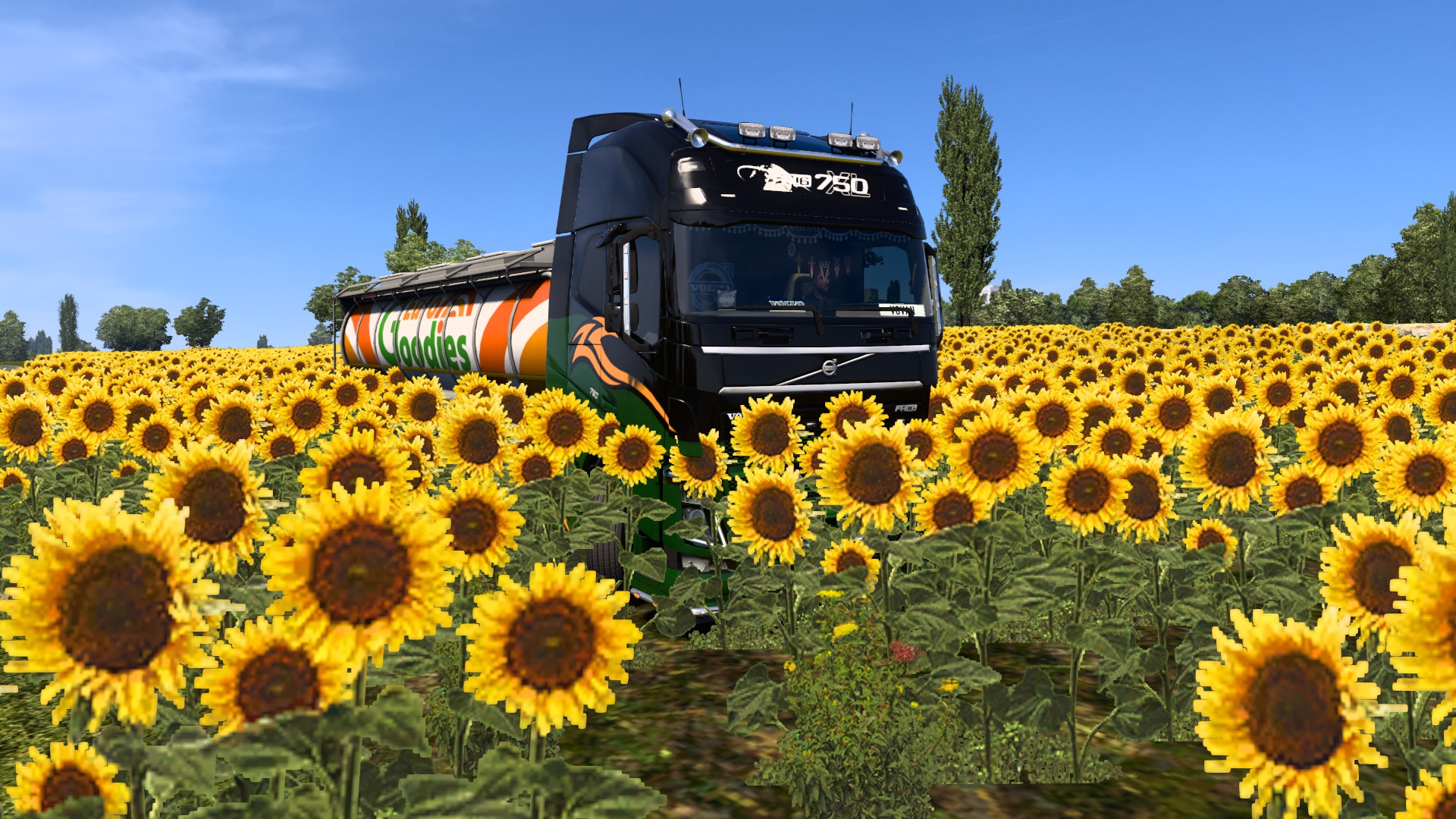 Image by fodd37