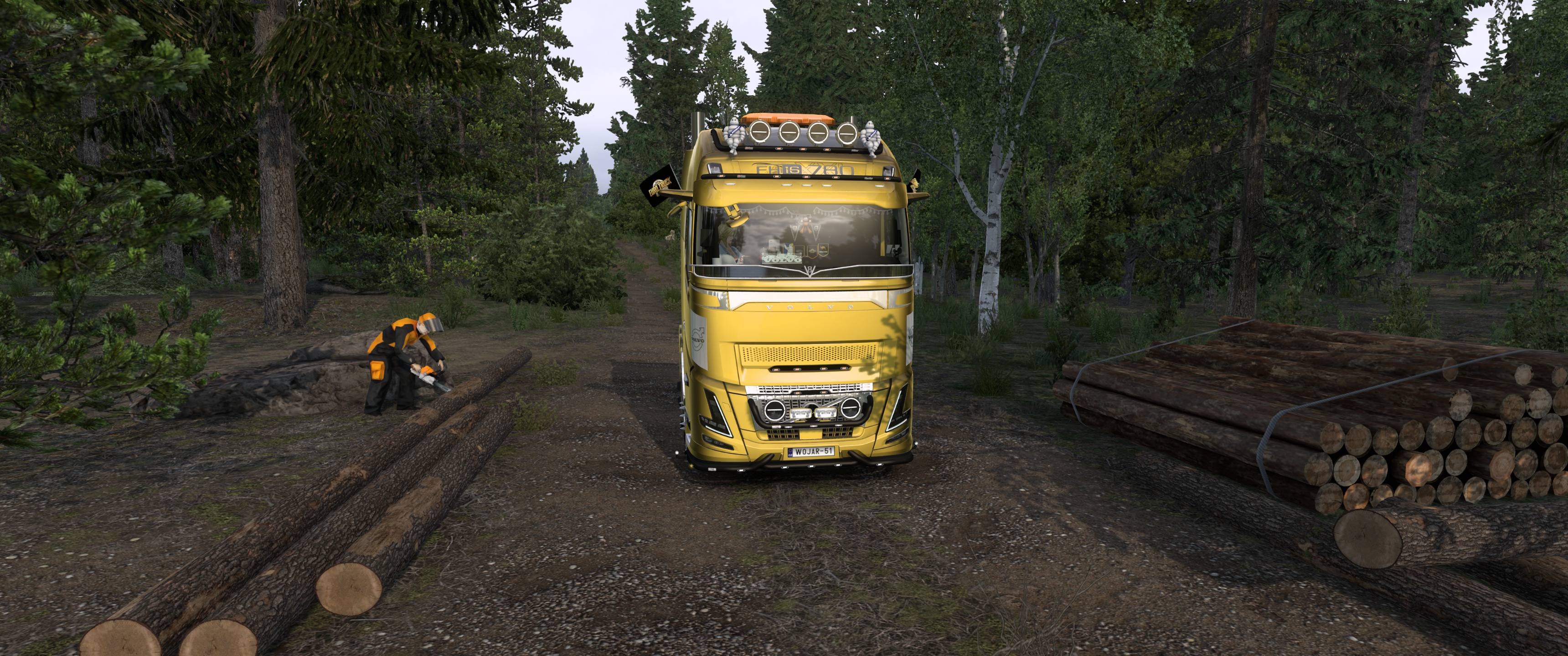 Image by wolfjaroslav50