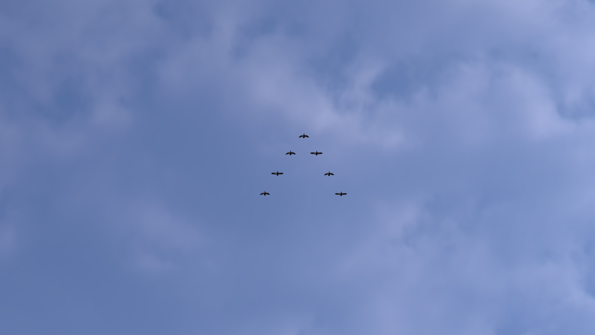 Image by Kamil_ERA
