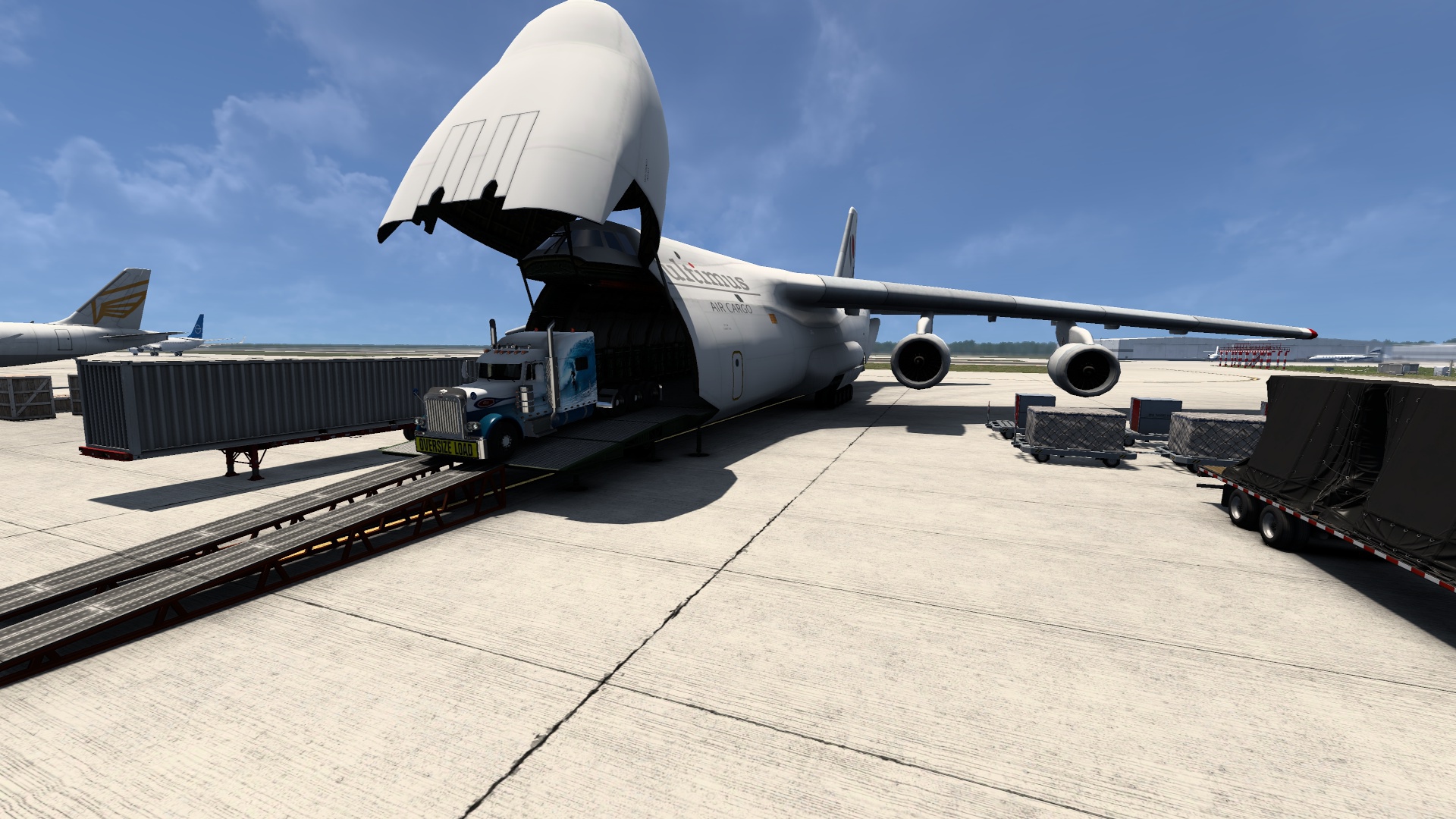 Image by POMPOMRESCUE