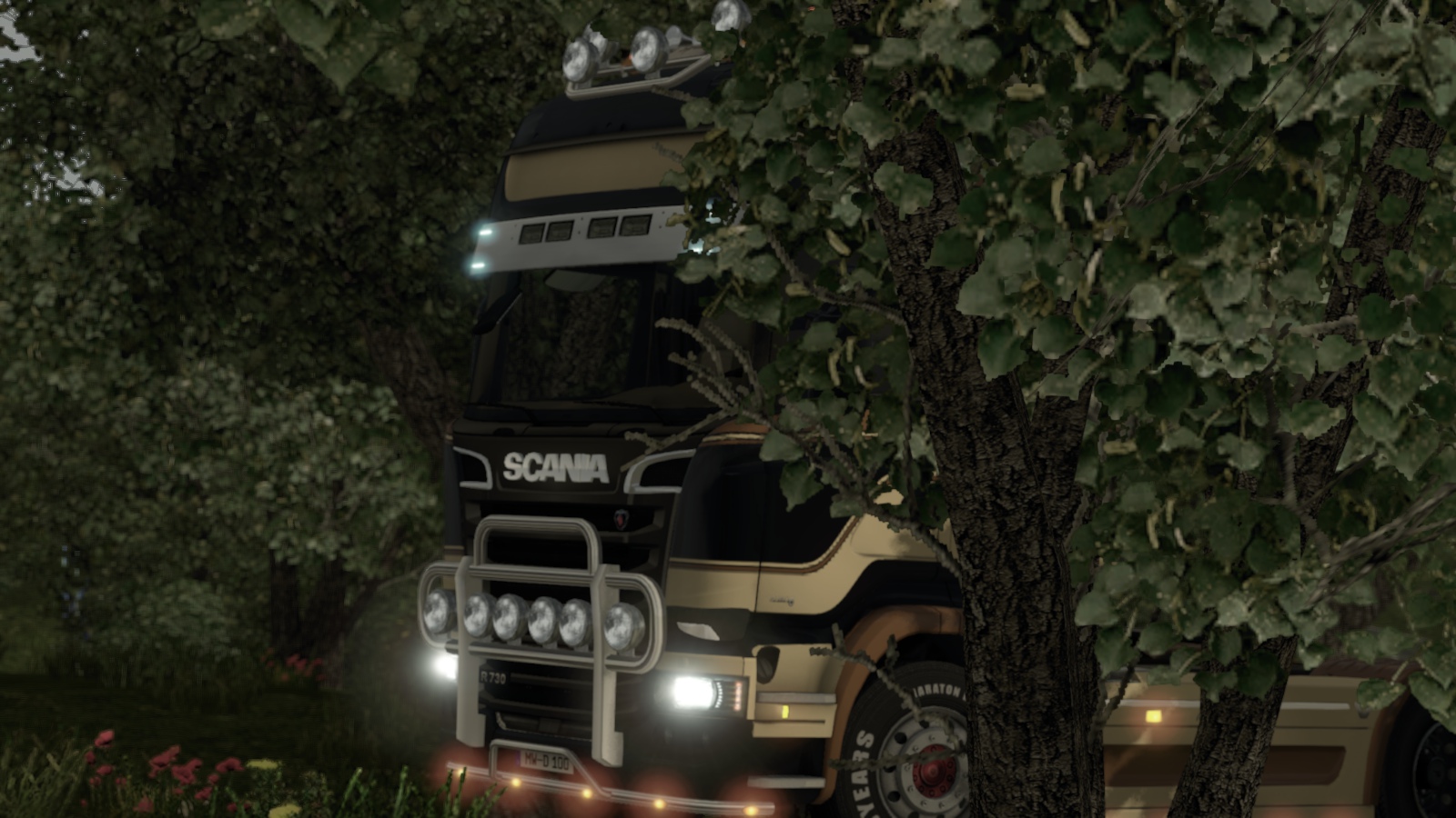 Image by Mercychilled