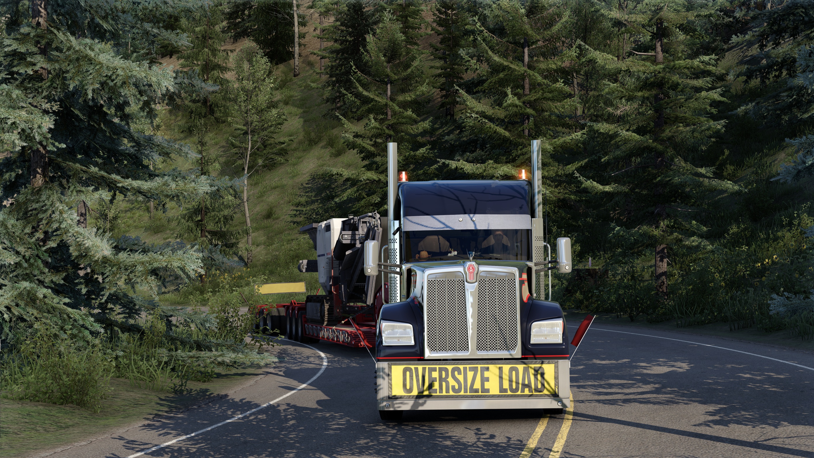 Image by Black_Jacket