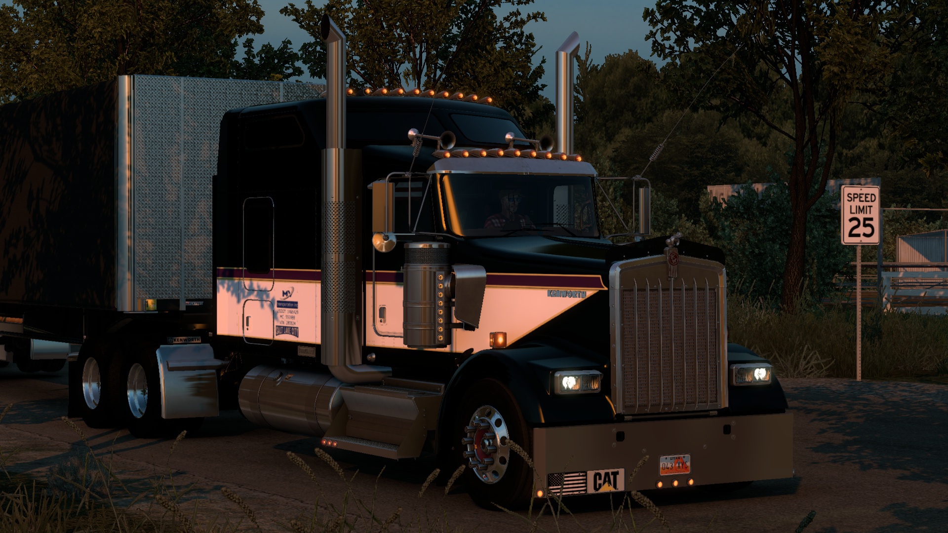 Image by mauvizcaino246