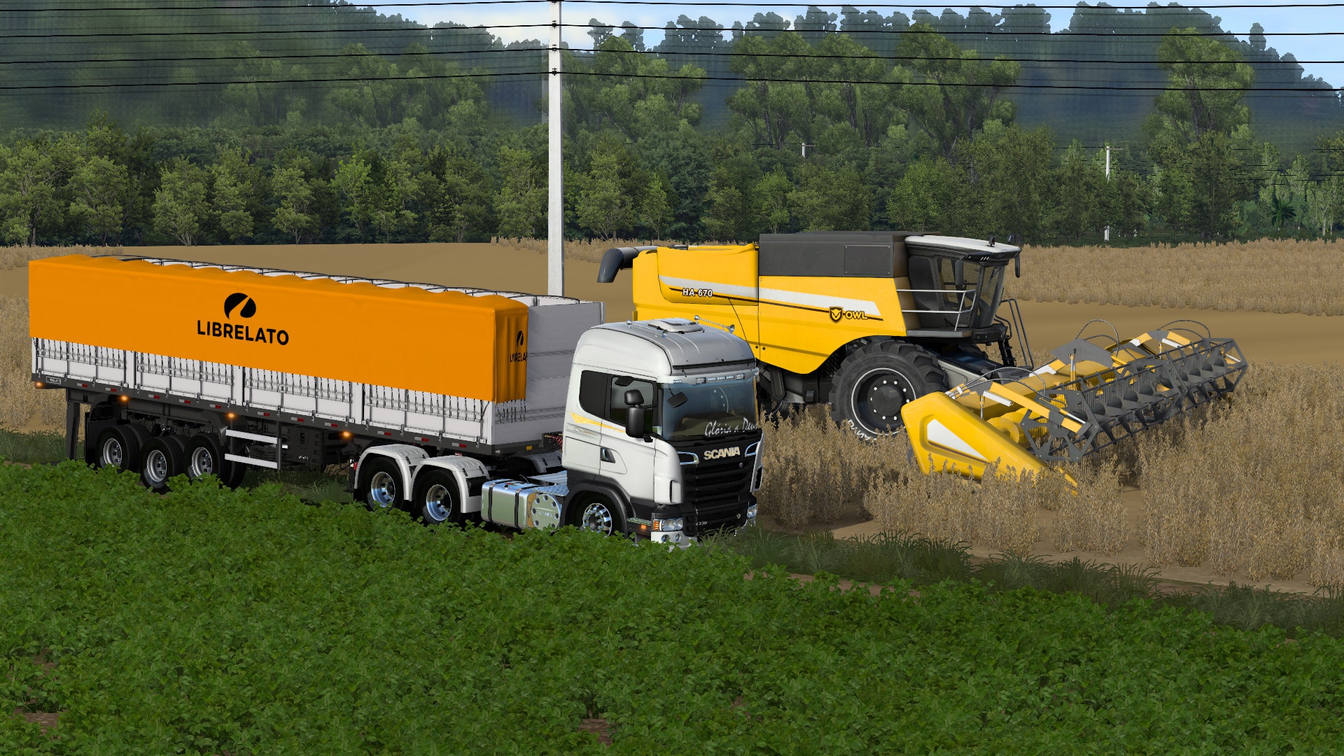 Image by leandroservin898