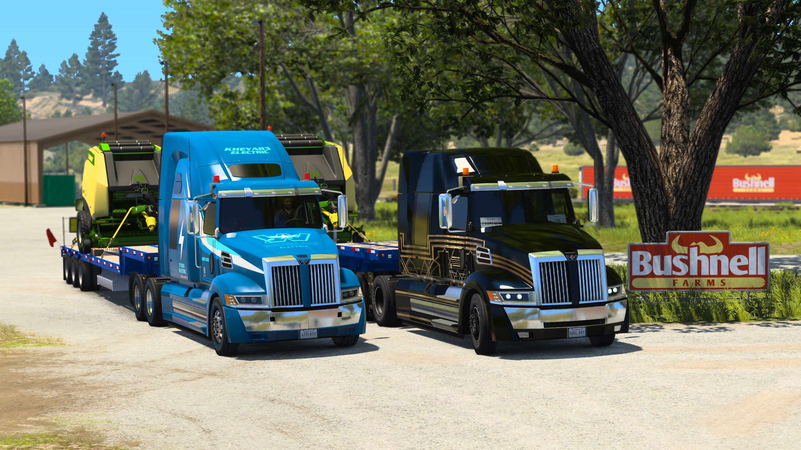 Image by ExaminerIan