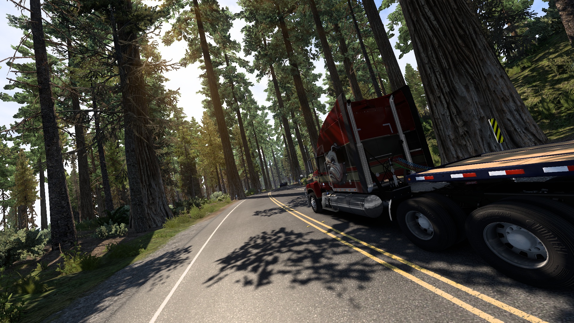 Image by Paco_Aguirre