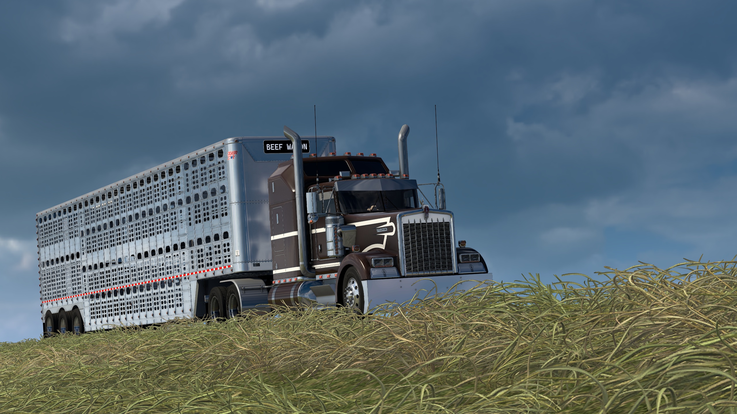 Image by Mack_Attack