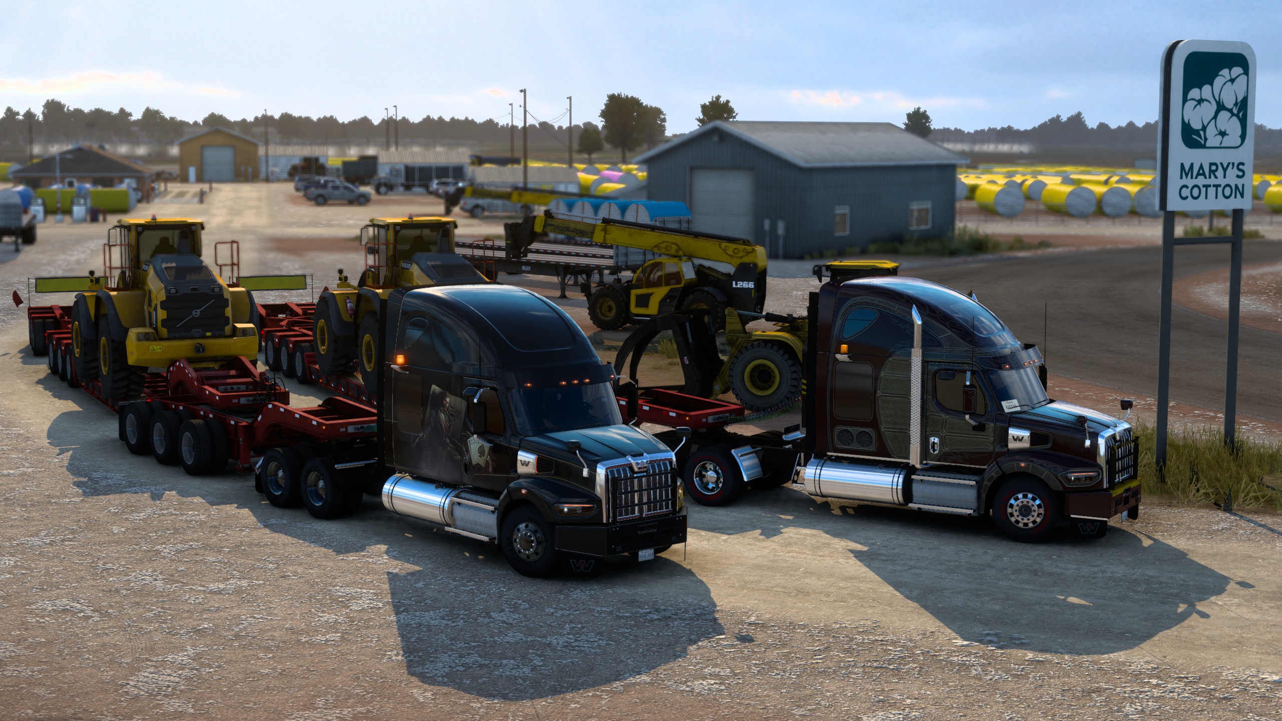 Image by ExaminerIan