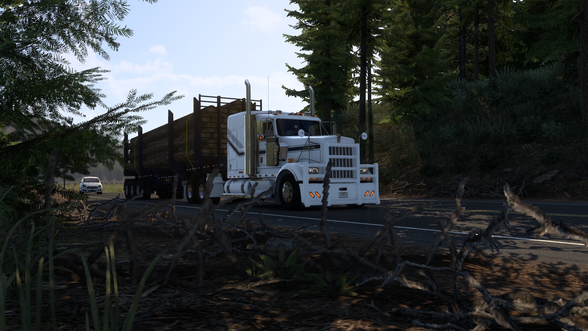 Image by DriverRazvan28