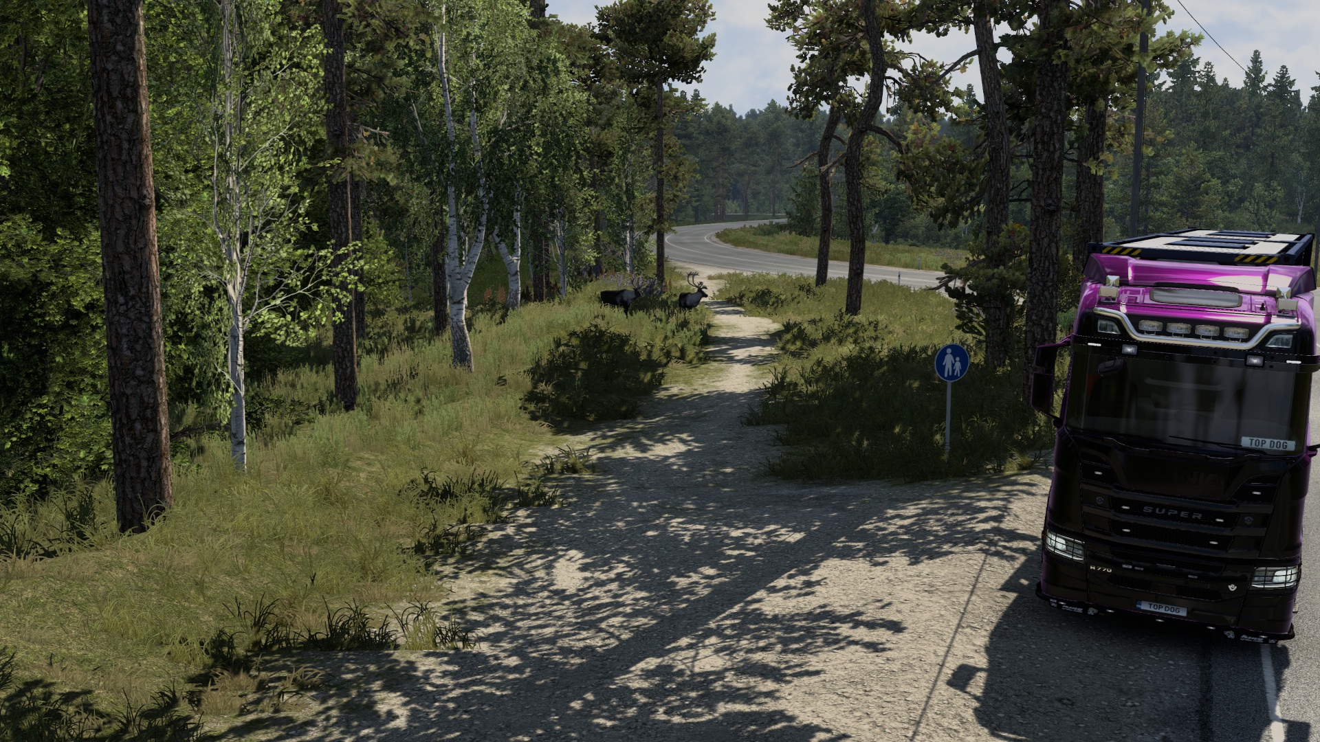 Image by dobpbiy_kot3