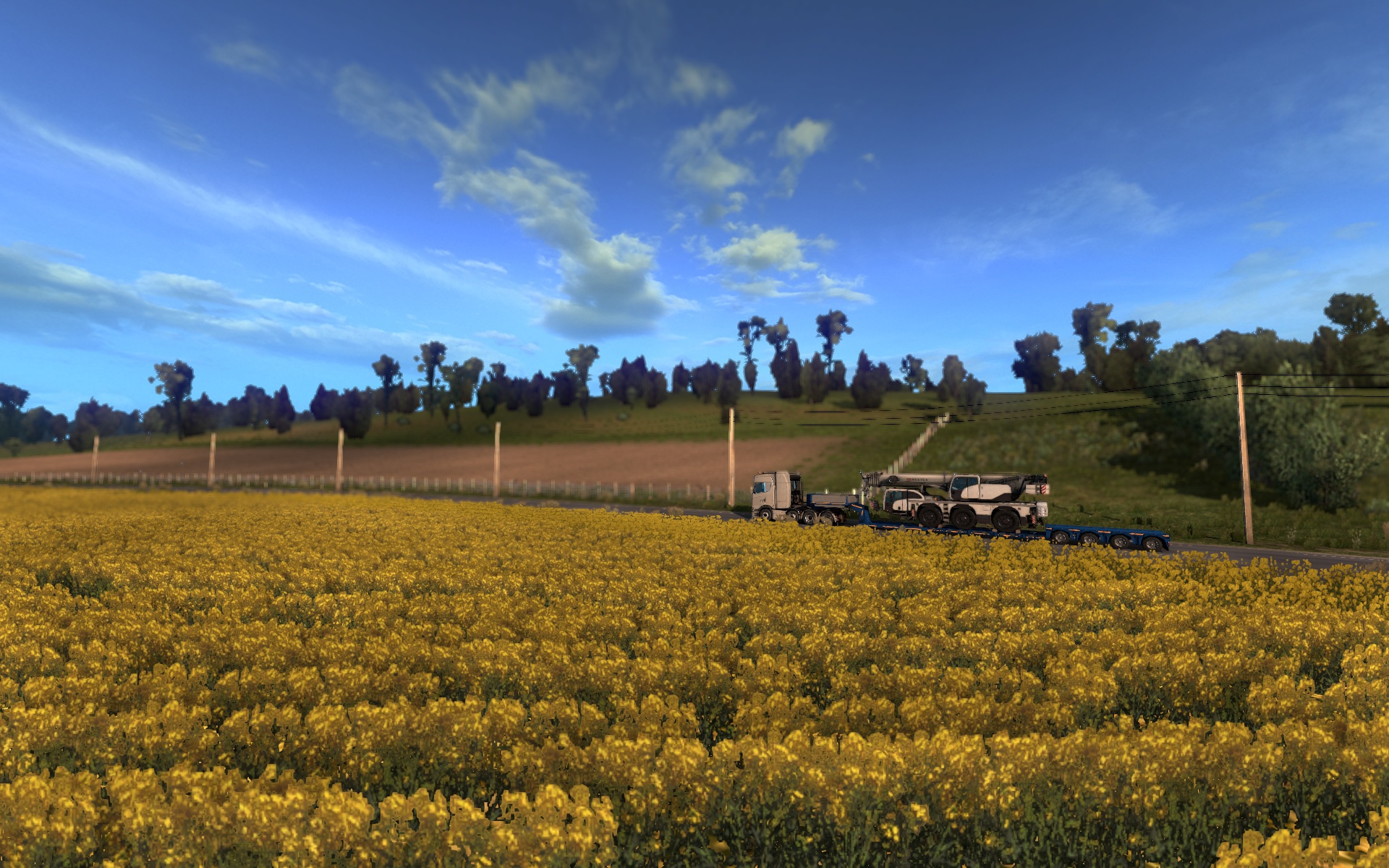 Image by REGIUS_3RZFE