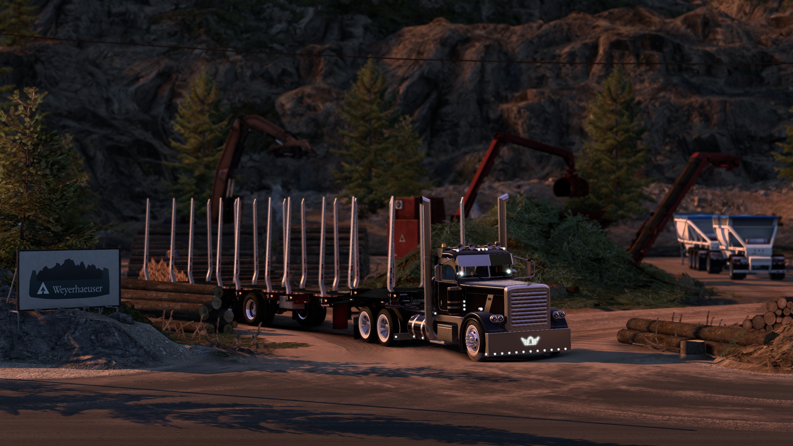 Image by Bearded_Bushman