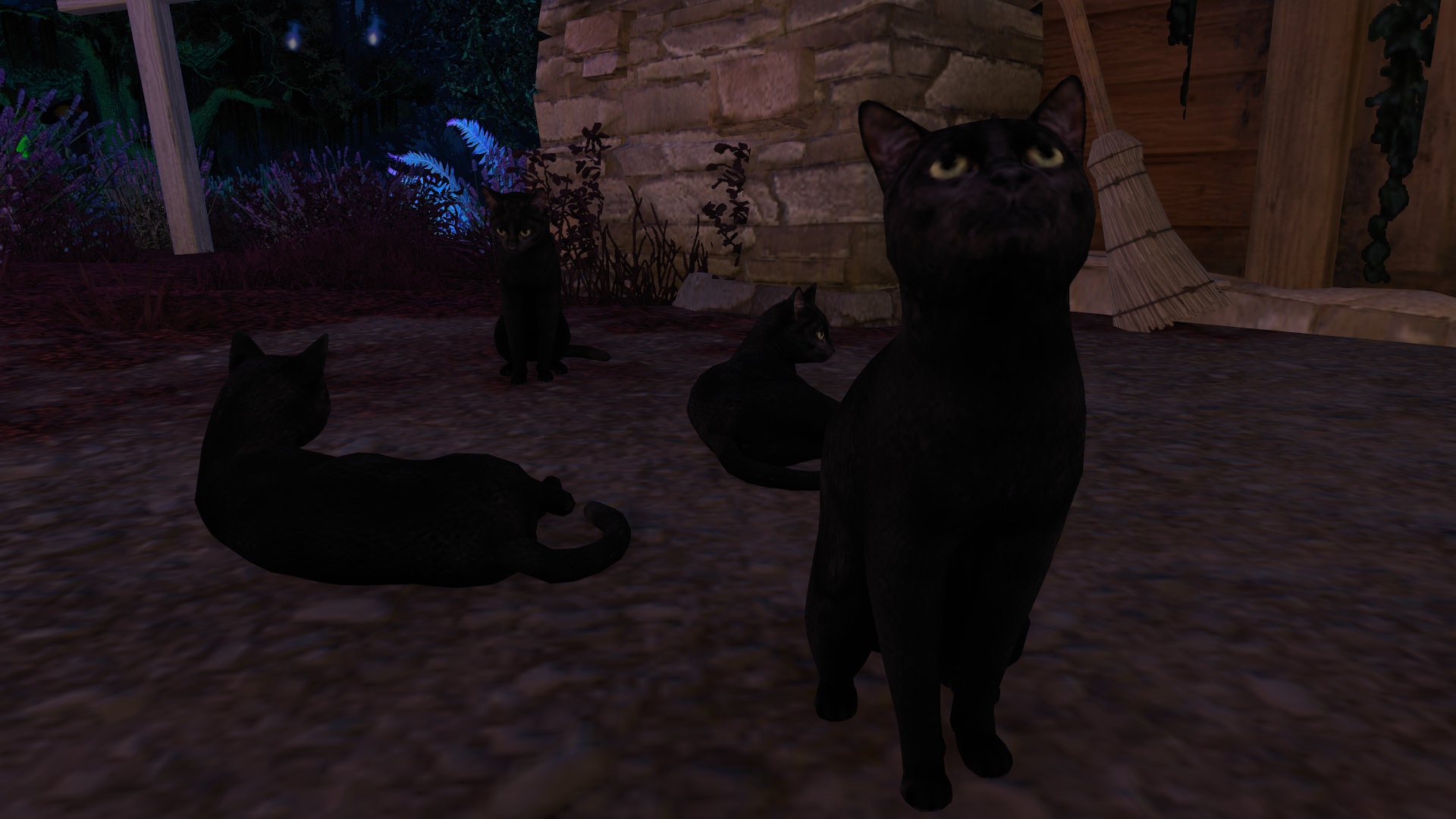 Image by DJWolveGaming