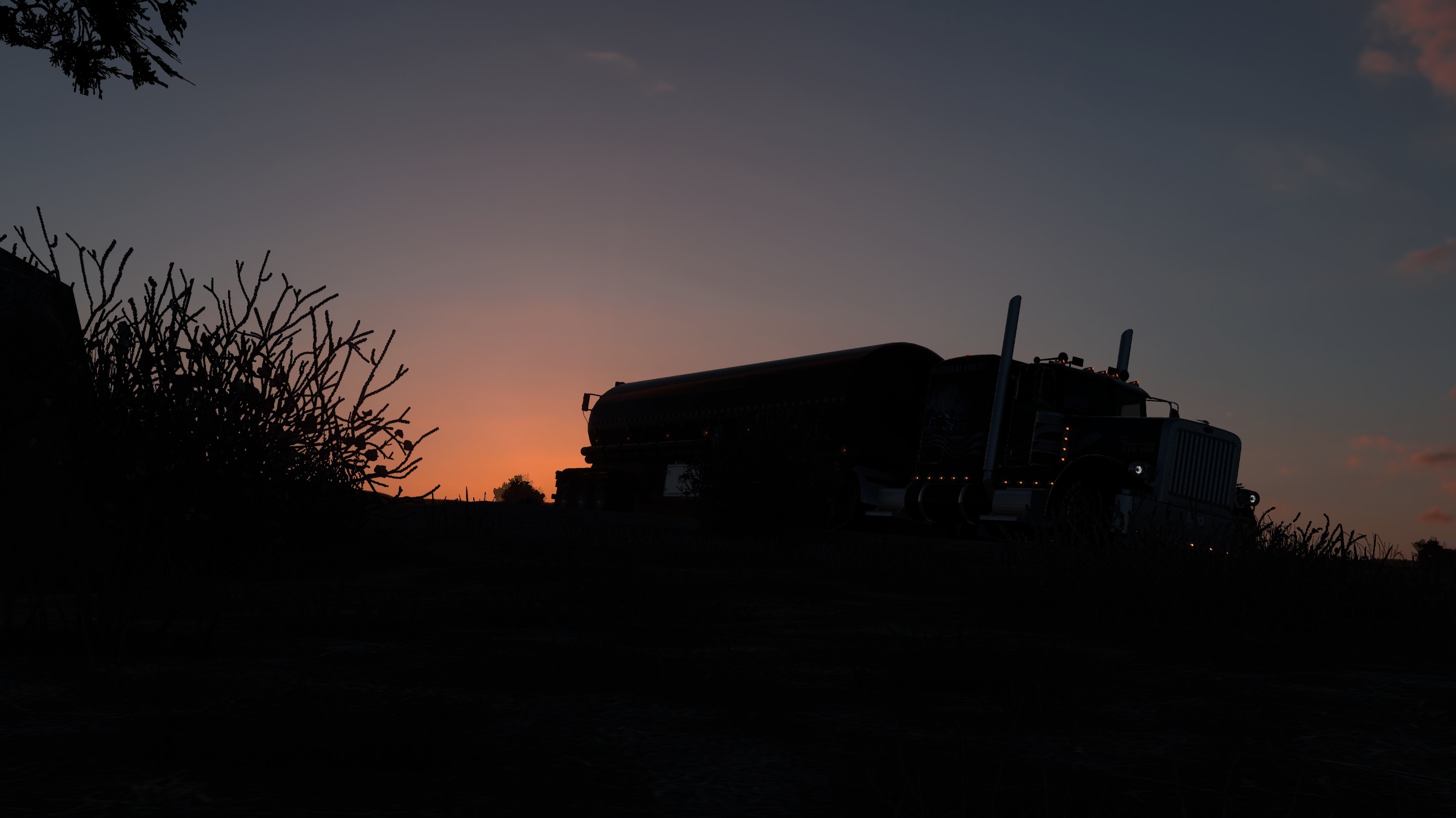 Image by Marcel_____