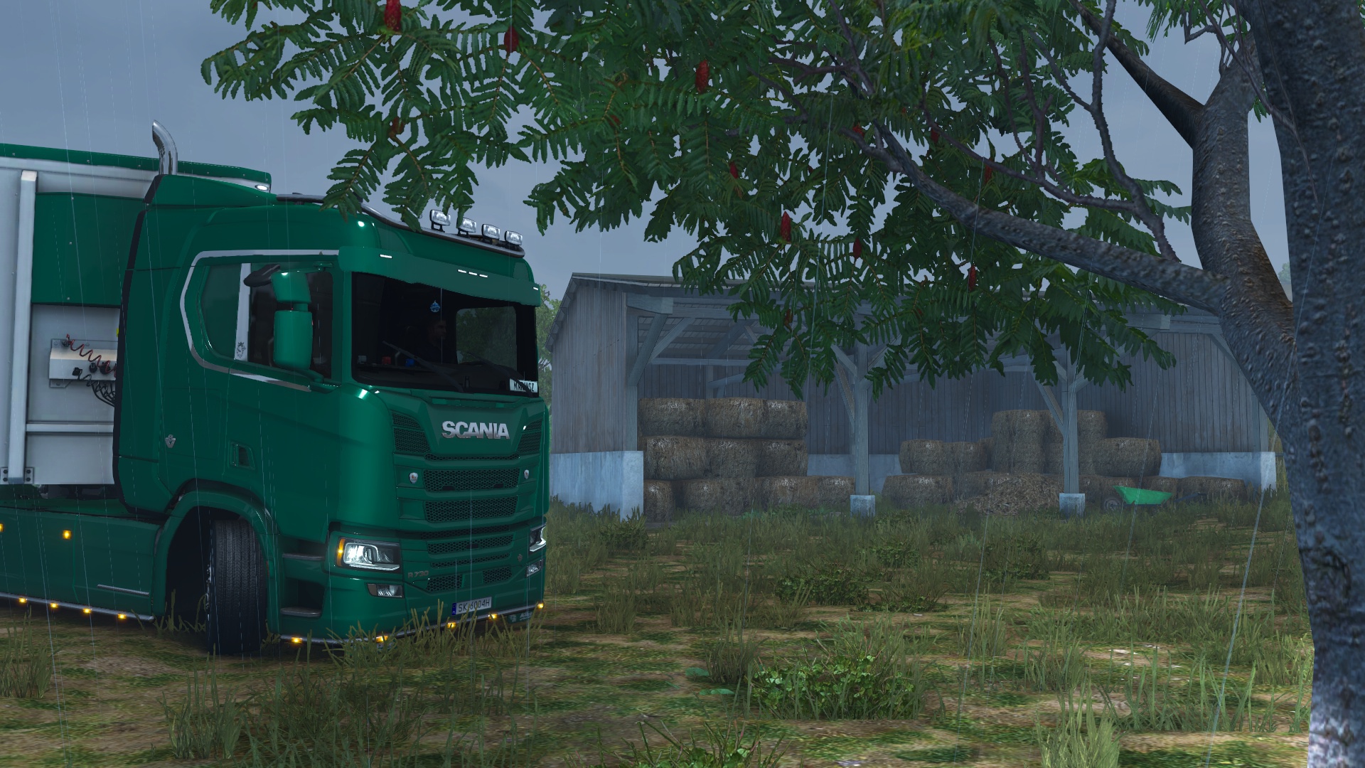 Image by M_Michalczyk