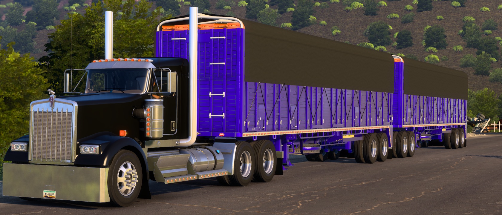 Image by Cristia16552511