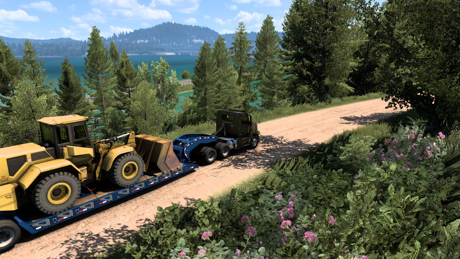 Image by ronailtonsantos