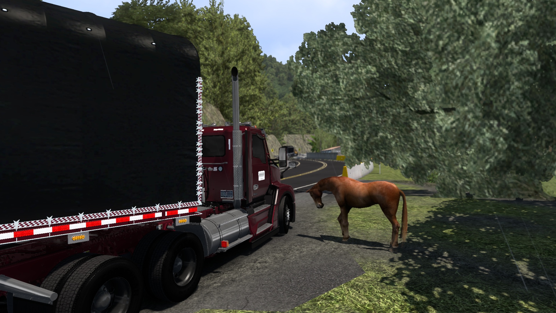 Image by ERIK_BENAVIDES