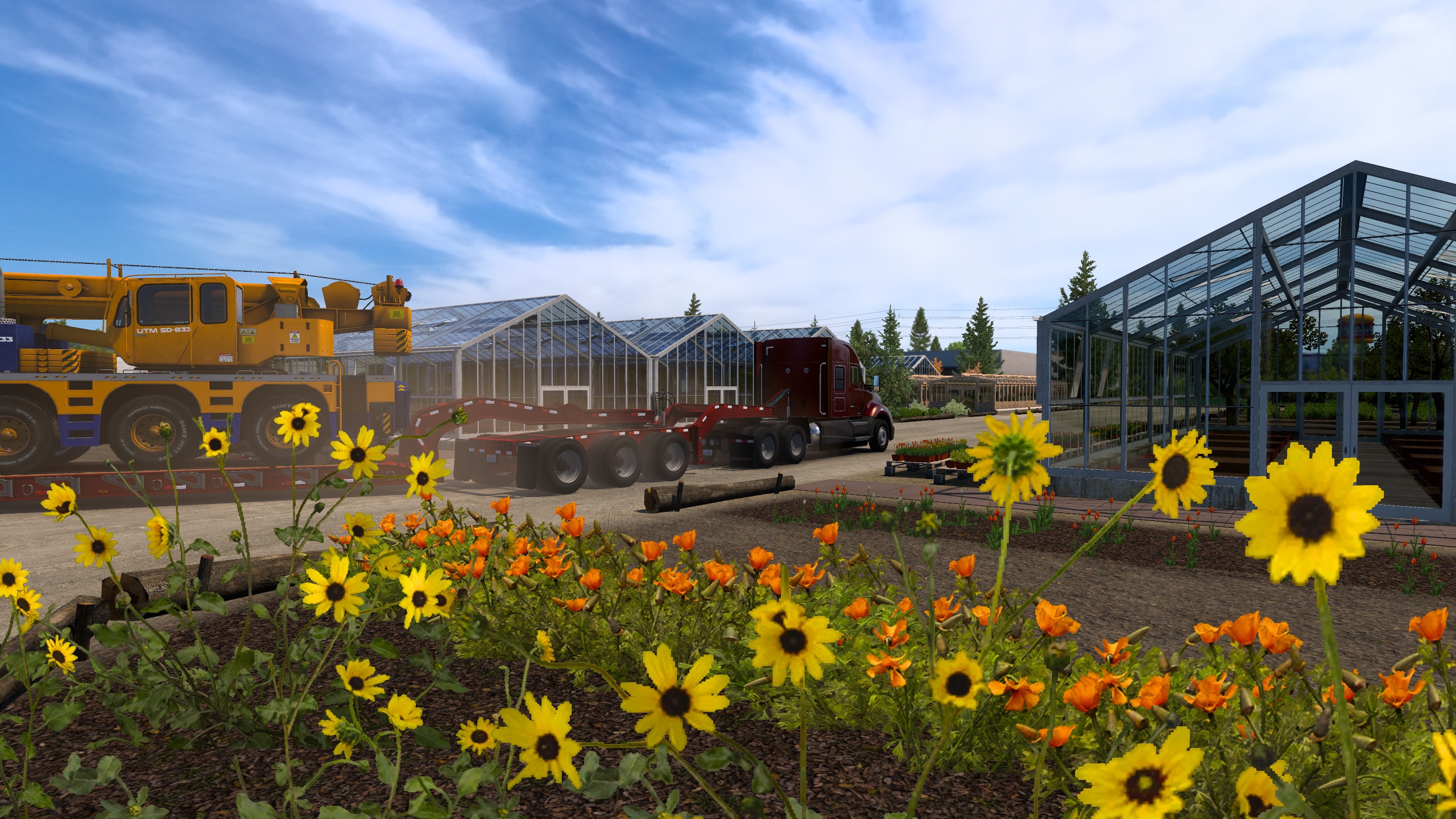 Image by PKShakytown