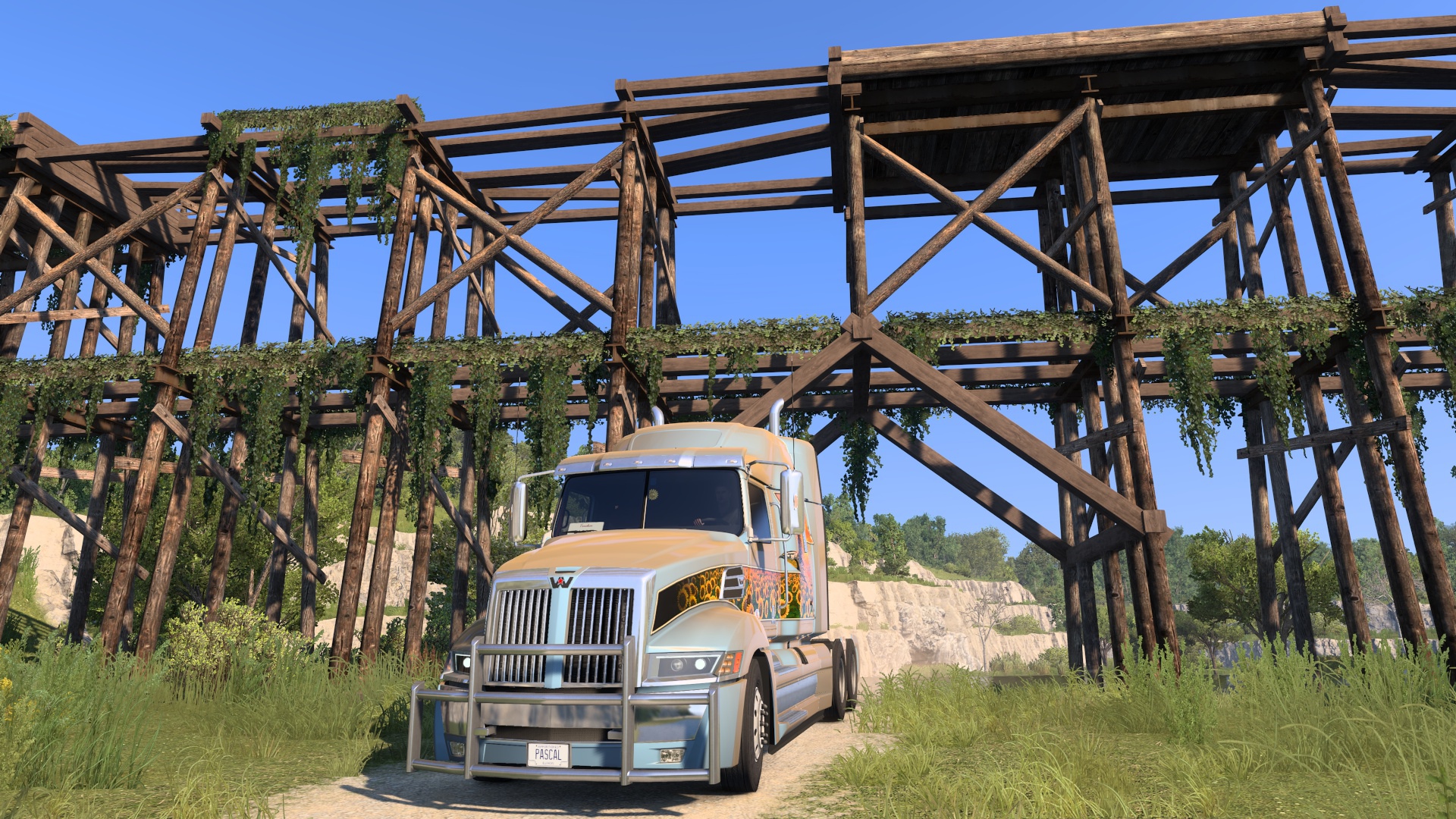 Image by TOMMY45160