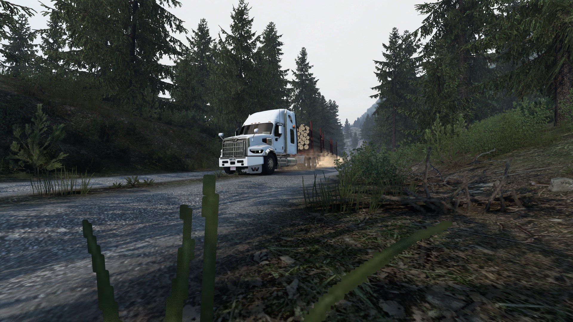 Image by 123456789qw