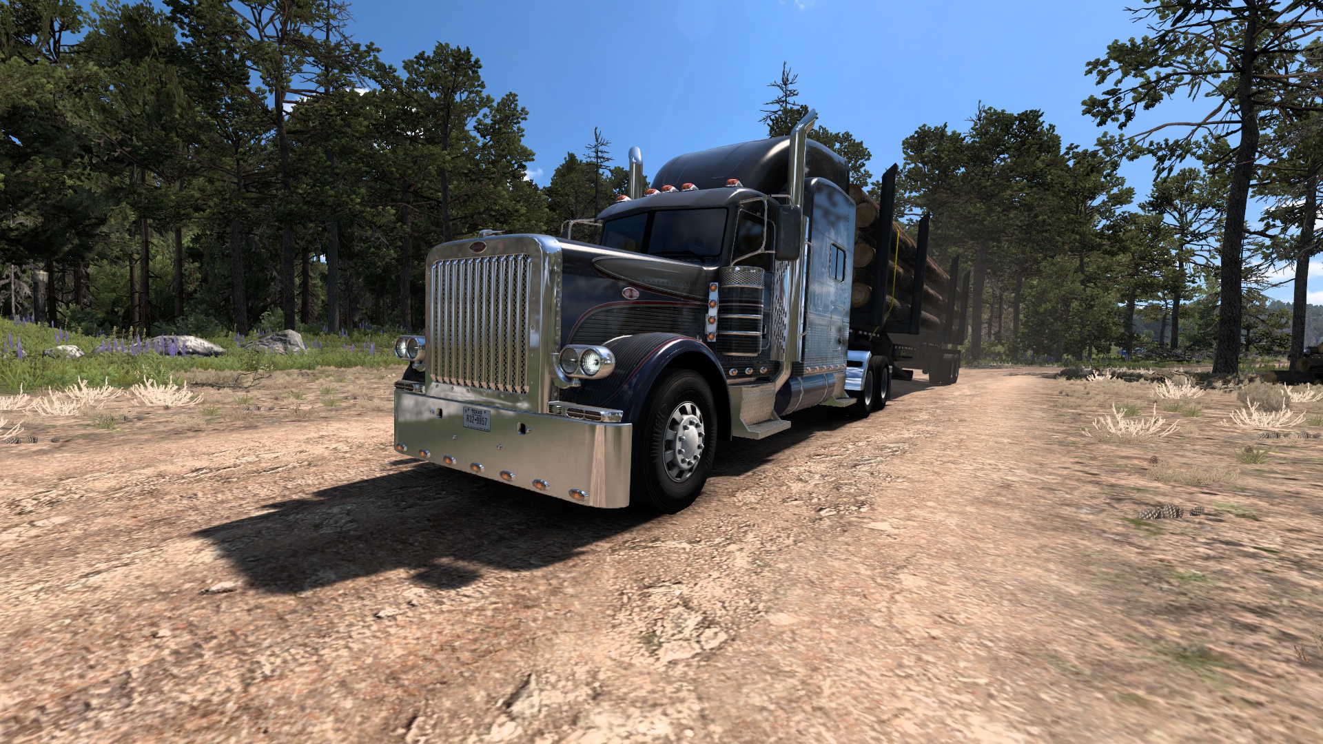 Image by henadzi_fox