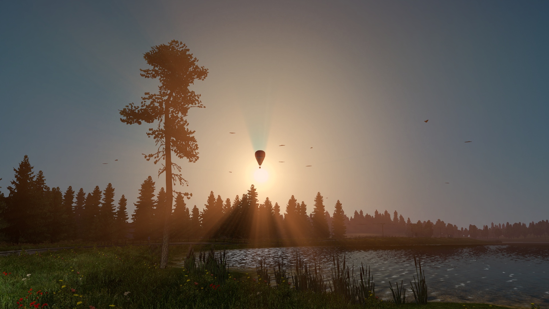 Image by captain_trunk